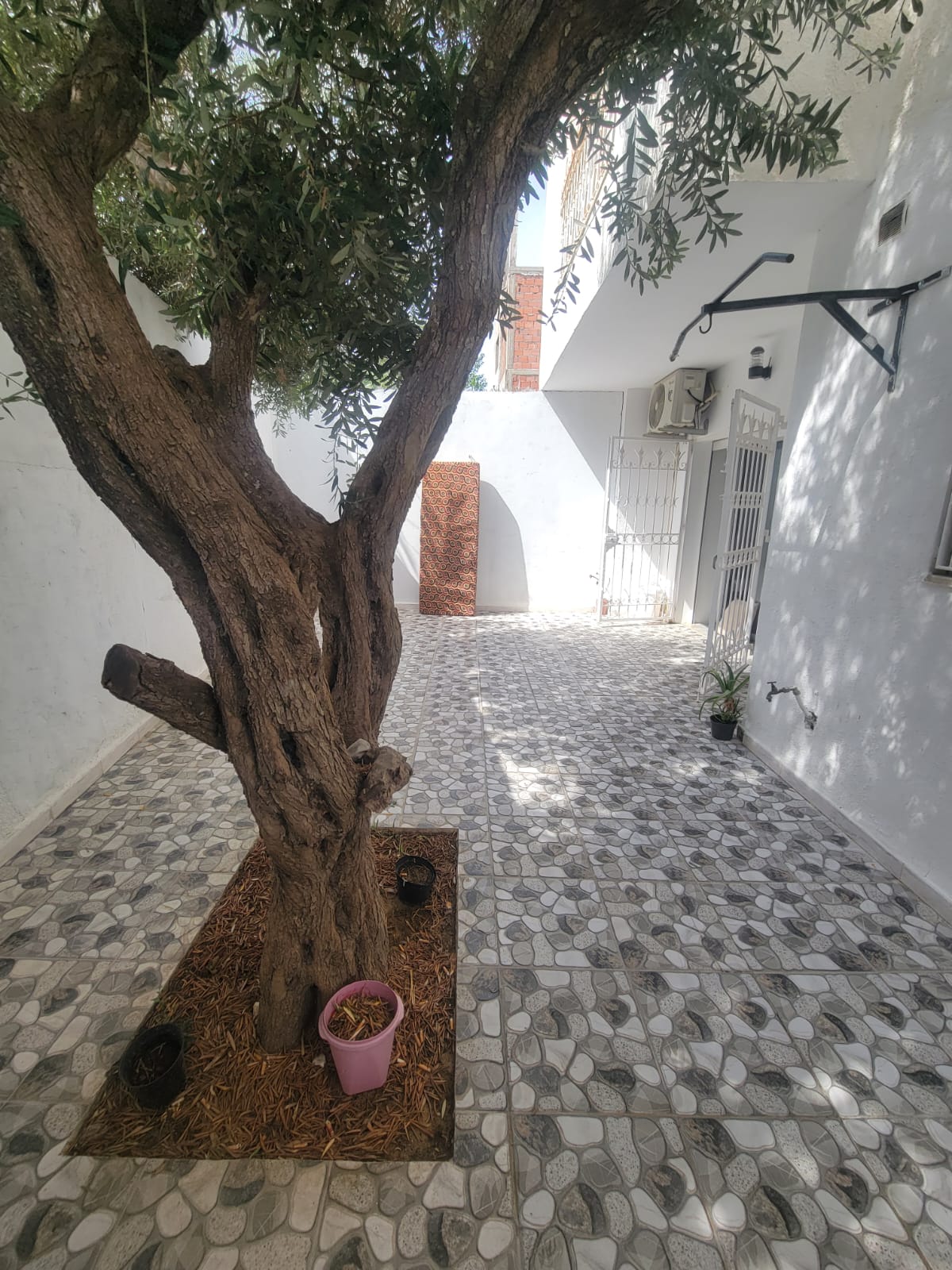 Bizerte Nord&nbsp;Cite El Korniche 1&nbsp;Vente&nbsp;Appart. 3 pi�ces&nbsp;Appartement s3 au rdc � corniche