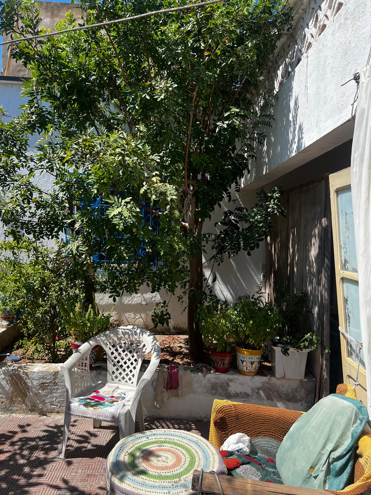Kelibia&nbsp;Kelibia&nbsp;Vente&nbsp;Maisons&nbsp;Maison arabe a kelibia