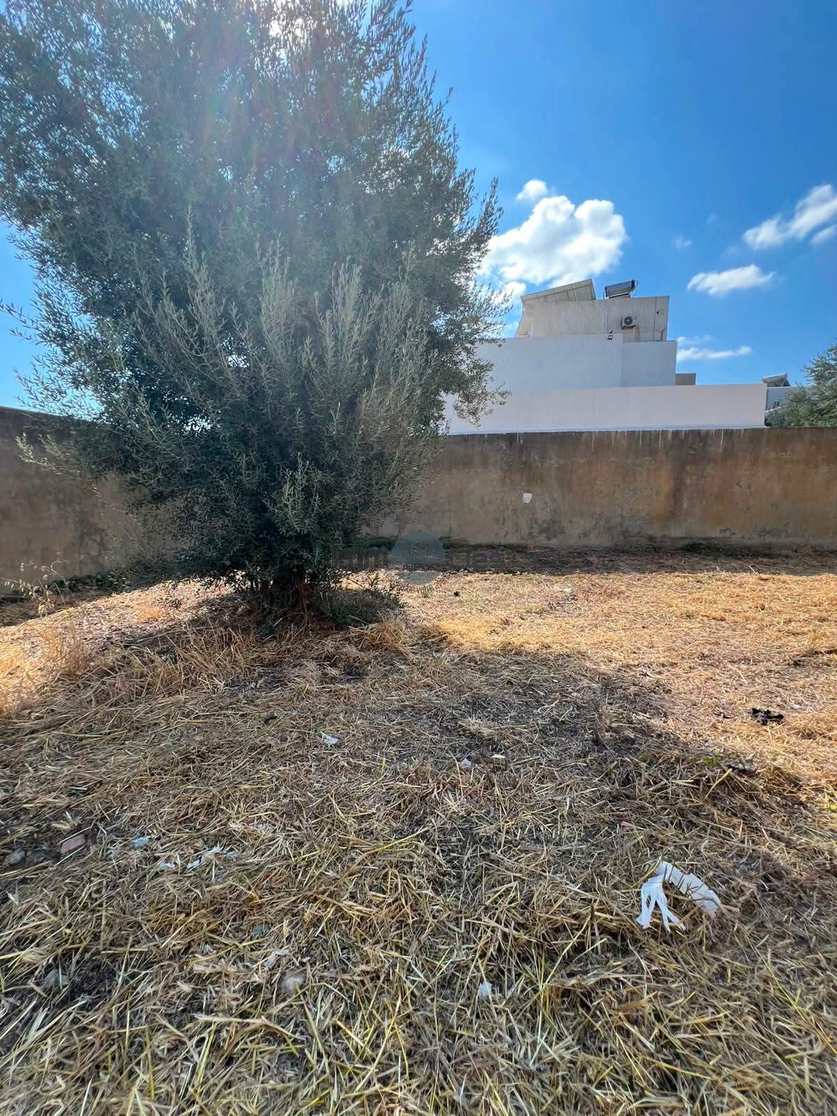 Bizerte Nord&nbsp;Bizerte&nbsp;Terrain&nbsp;Terrain nu&nbsp;Terrain cit� malouf