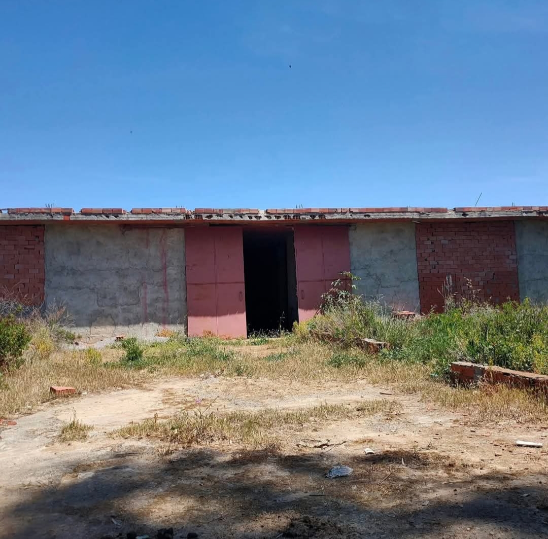 El Alia&nbsp;Khetmine&nbsp;Terrain&nbsp;Terrain agricole&nbsp;Belle opportunit�
