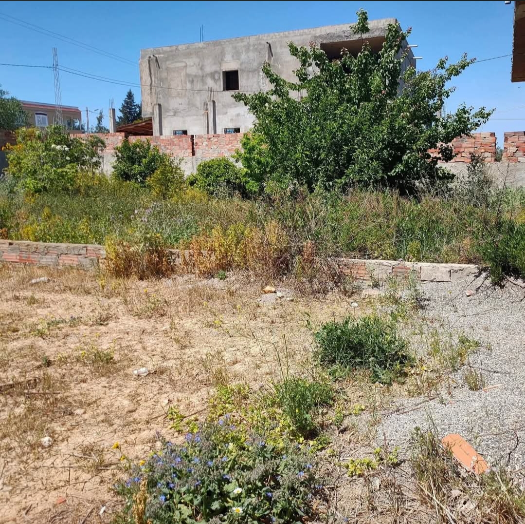 El Alia&nbsp;Khetmine&nbsp;Terrain&nbsp;Terrain agricole&nbsp;Belle opportunit�