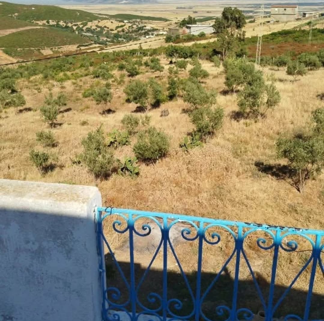 Mateur&nbsp;Henchir El Kahla&nbsp;Terrain&nbsp;Terrain agricole&nbsp;Un havre de paix