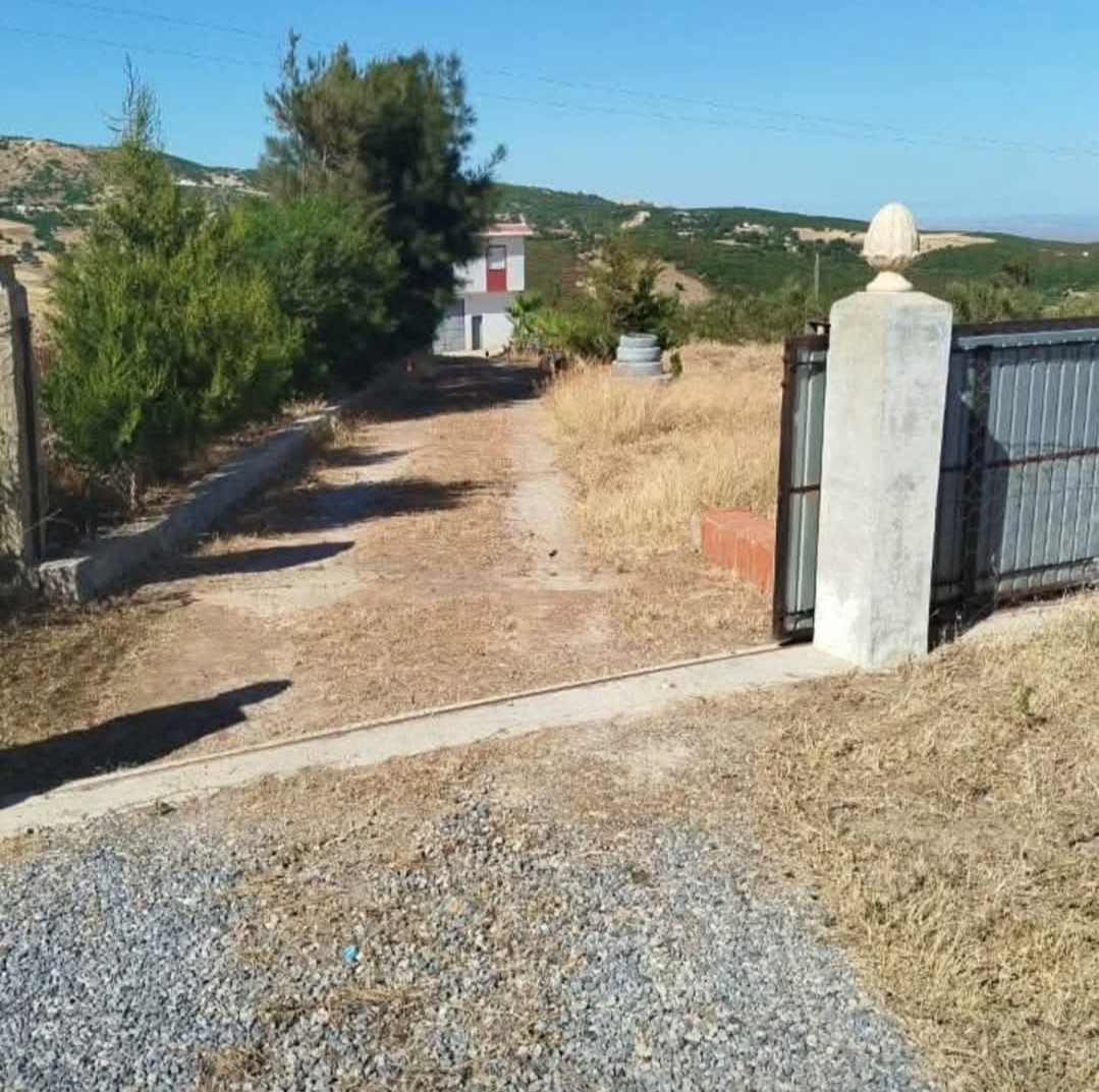 Mateur&nbsp;Henchir El Kahla&nbsp;Terrain&nbsp;Terrain agricole&nbsp;Un havre de paix