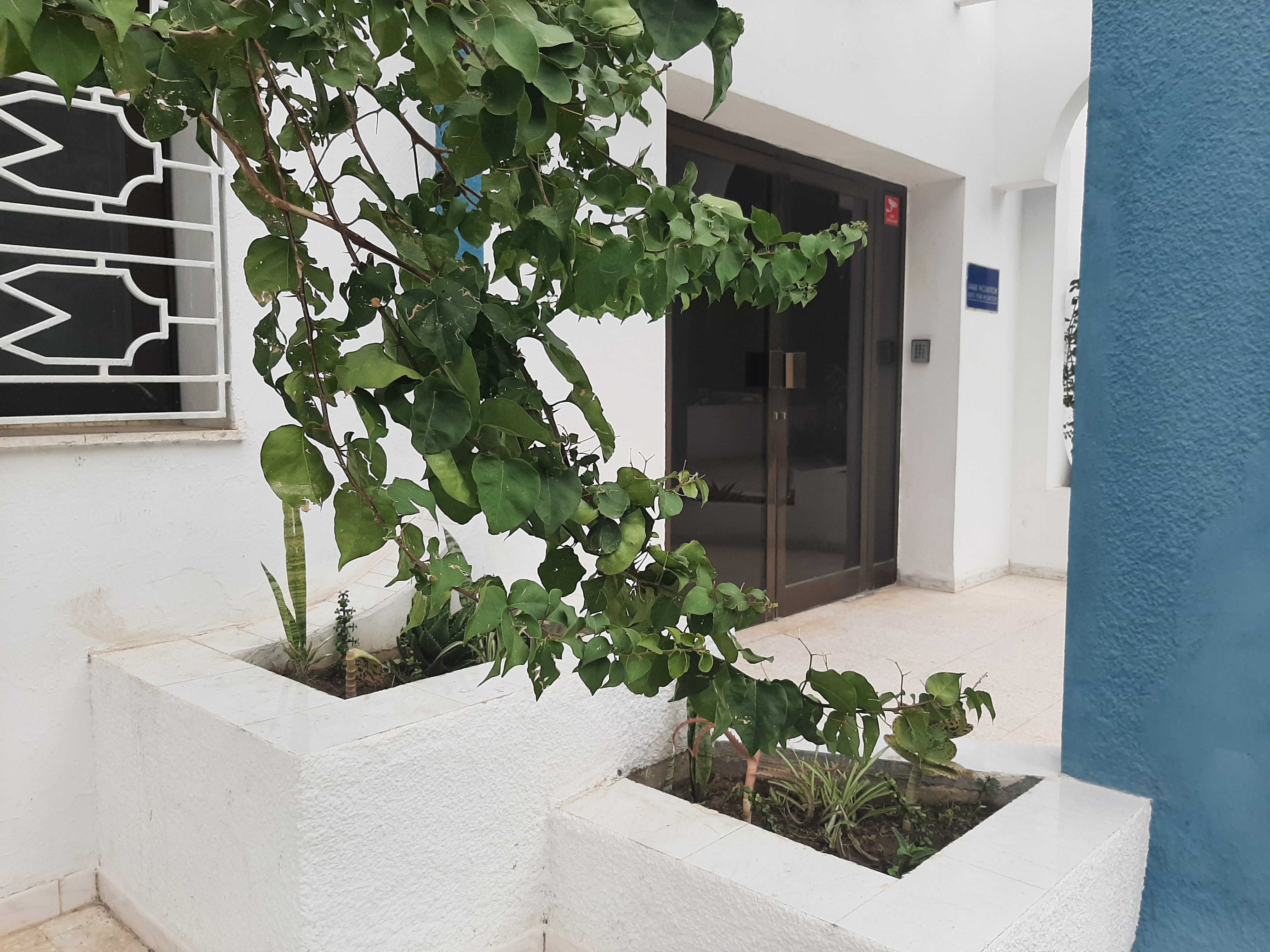 Cite El Khadra&nbsp;Zone urbaine nord&nbsp;Location&nbsp;Appart. 4 pi�ces&nbsp;Bureaux s3  avec parking  centre urbain nord