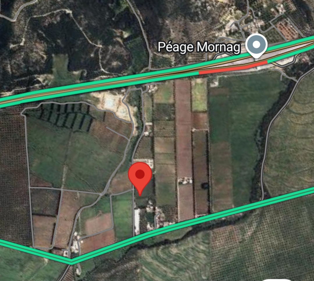 Mornag&nbsp;Zaouit Mornag&nbsp;Terrain&nbsp;Terrain nu&nbsp;Terrain sortie autoroute mornag