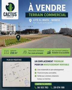 Nabeul&nbsp;Nabeul&nbsp;Vente&nbsp;Surfaces&nbsp;  terrain commercial de 210m ref782a