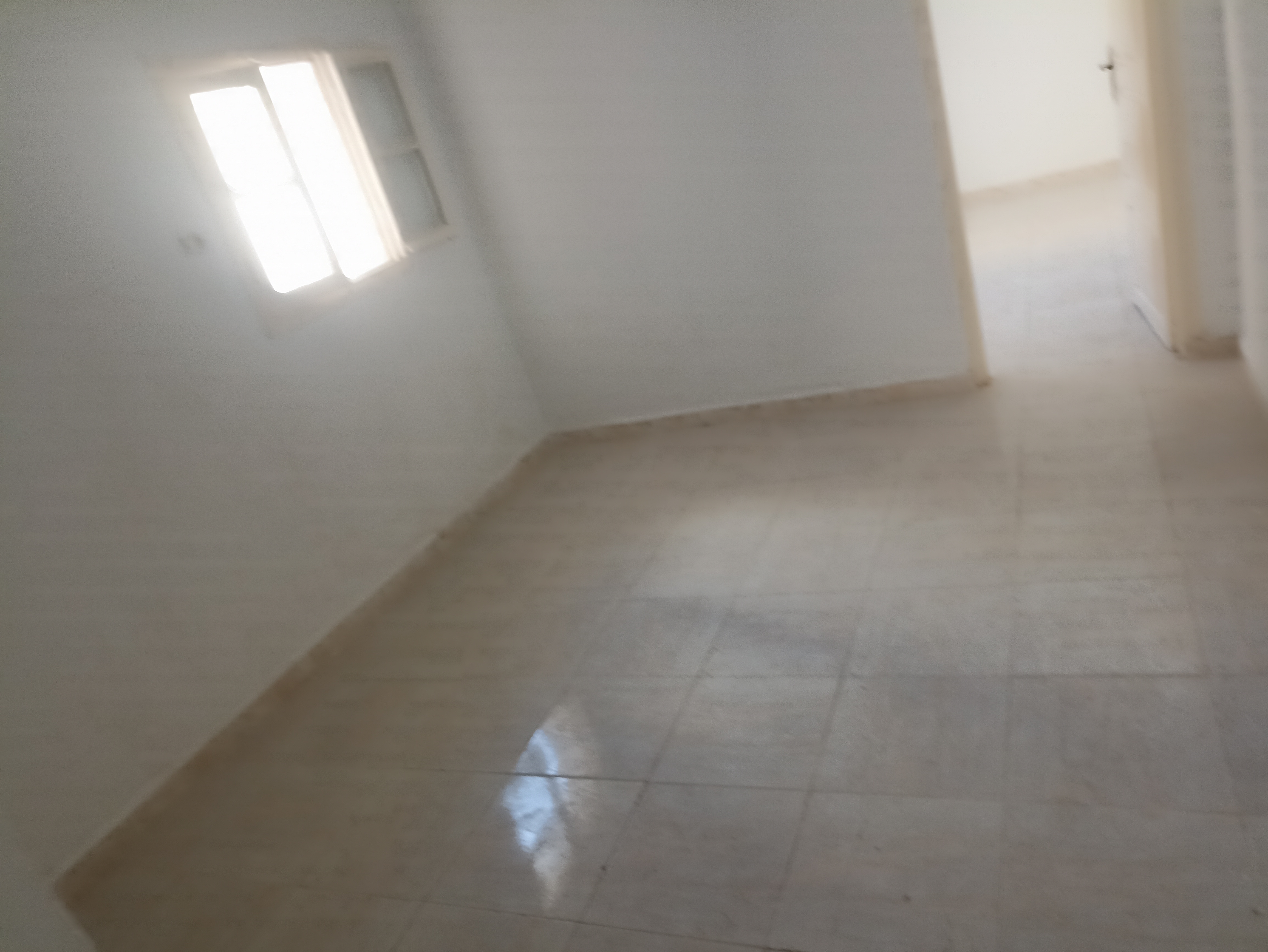 Megrine&nbsp;Megrine&nbsp;Location&nbsp;Appart. 1 pi�ce&nbsp;Studio pour travailleurs