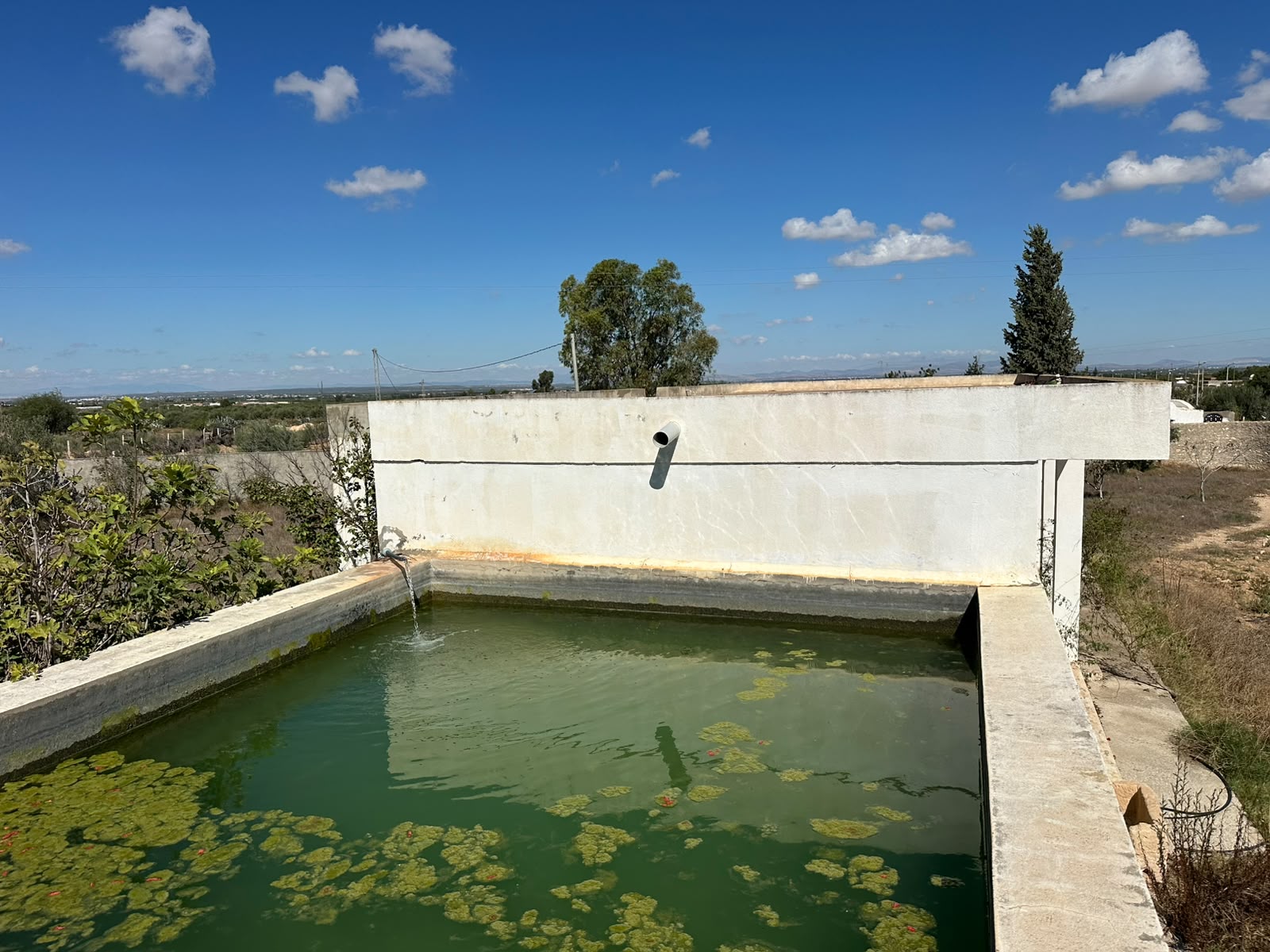 Sidi Bou Ali&nbsp;Sidi Bou Ali&nbsp;Terrain&nbsp;Terrain agricole&nbsp;Ferme agricole � sidi bouali