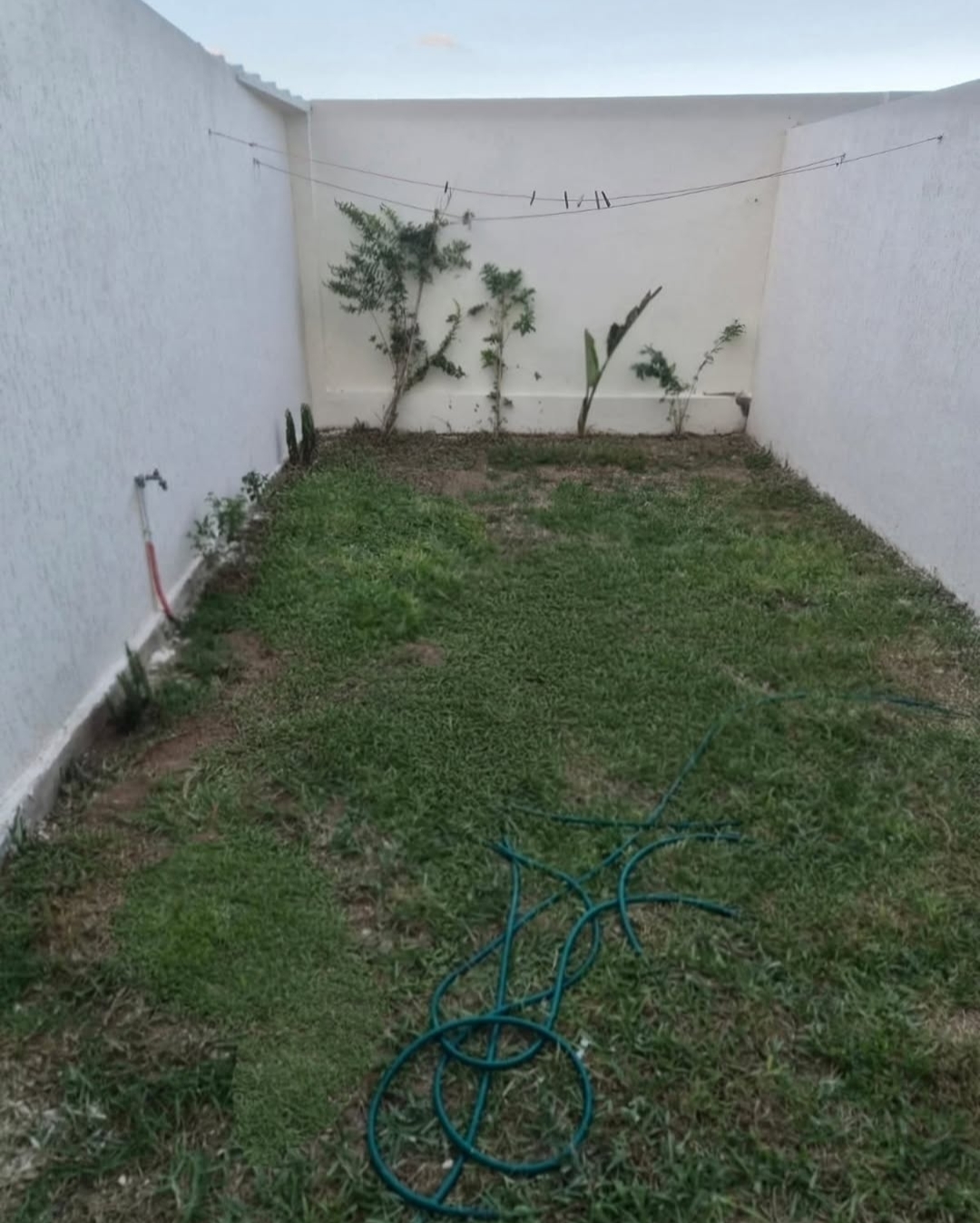 La Soukra&nbsp;Chotrana 3&nbsp;Location&nbsp;Appart. 1 pi�ce&nbsp;S0 meuble avec jardin