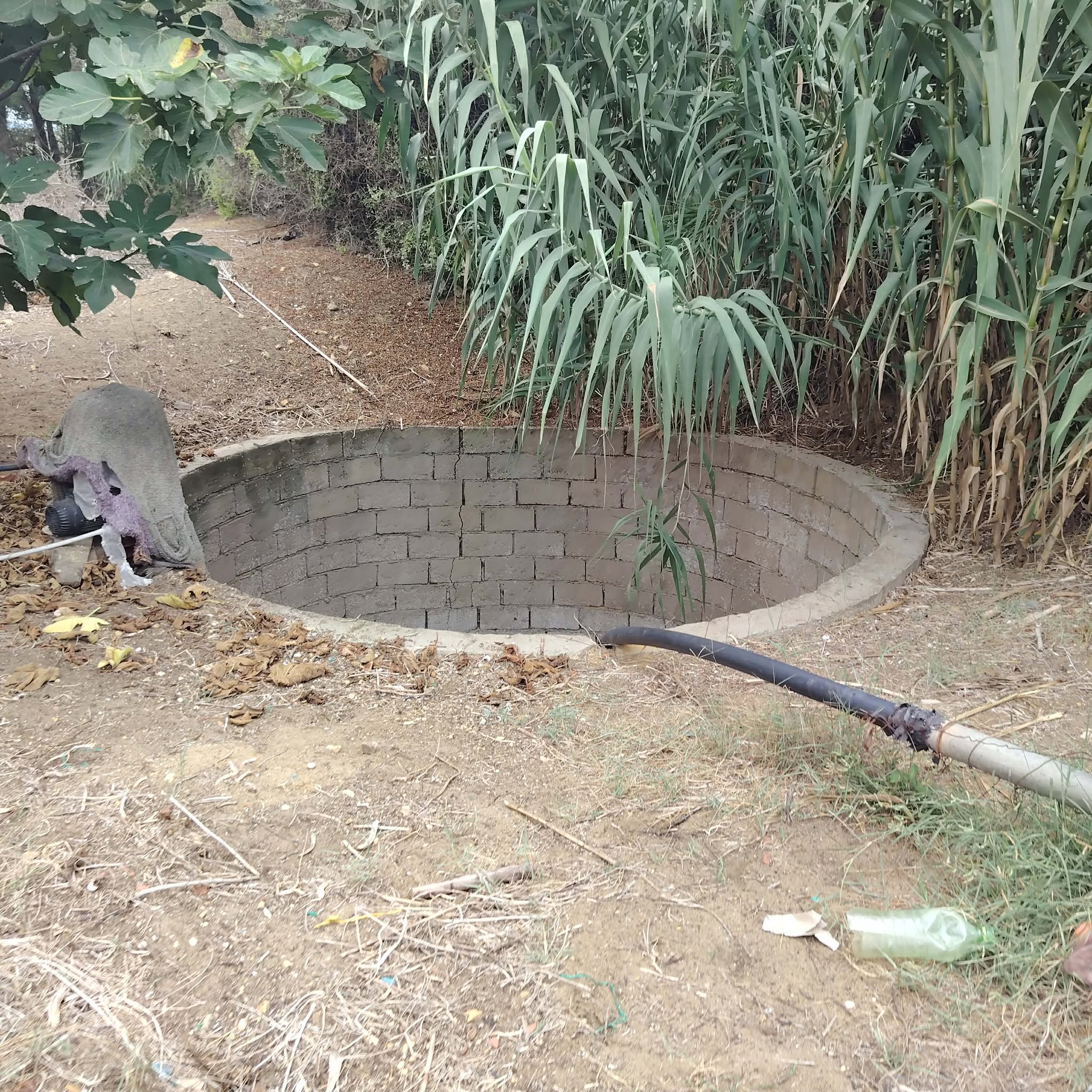 El Haouaria&nbsp;Bir El Jedey&nbsp;Terrain&nbsp;Terrain agricole&nbsp;Saniya avec puits  � bir el jedi haouaria