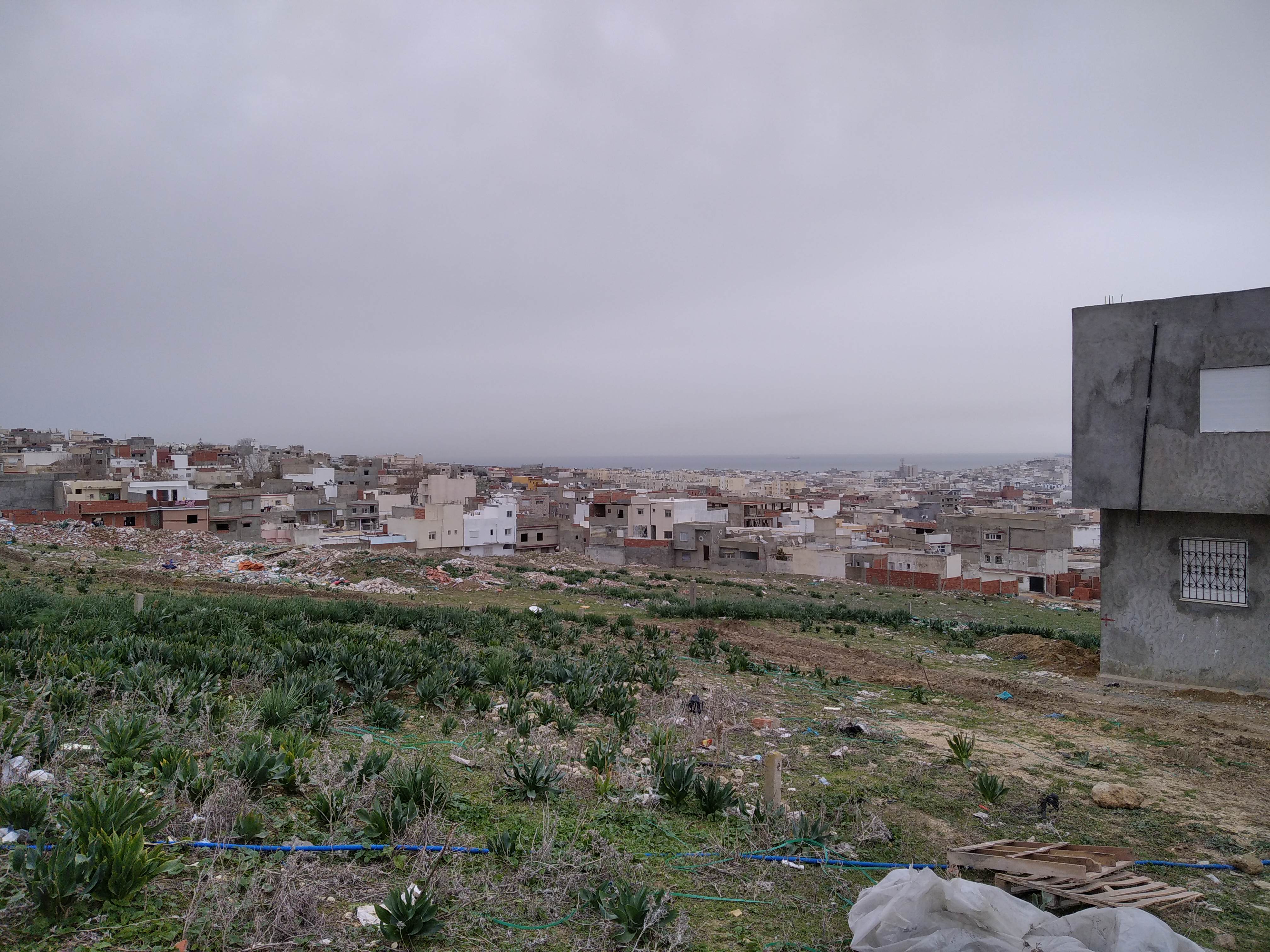 Bizerte Nord&nbsp;Bizerte&nbsp;Terrain&nbsp;Terrain nu&nbsp;Un terrain titr� � hay el waha bizerte