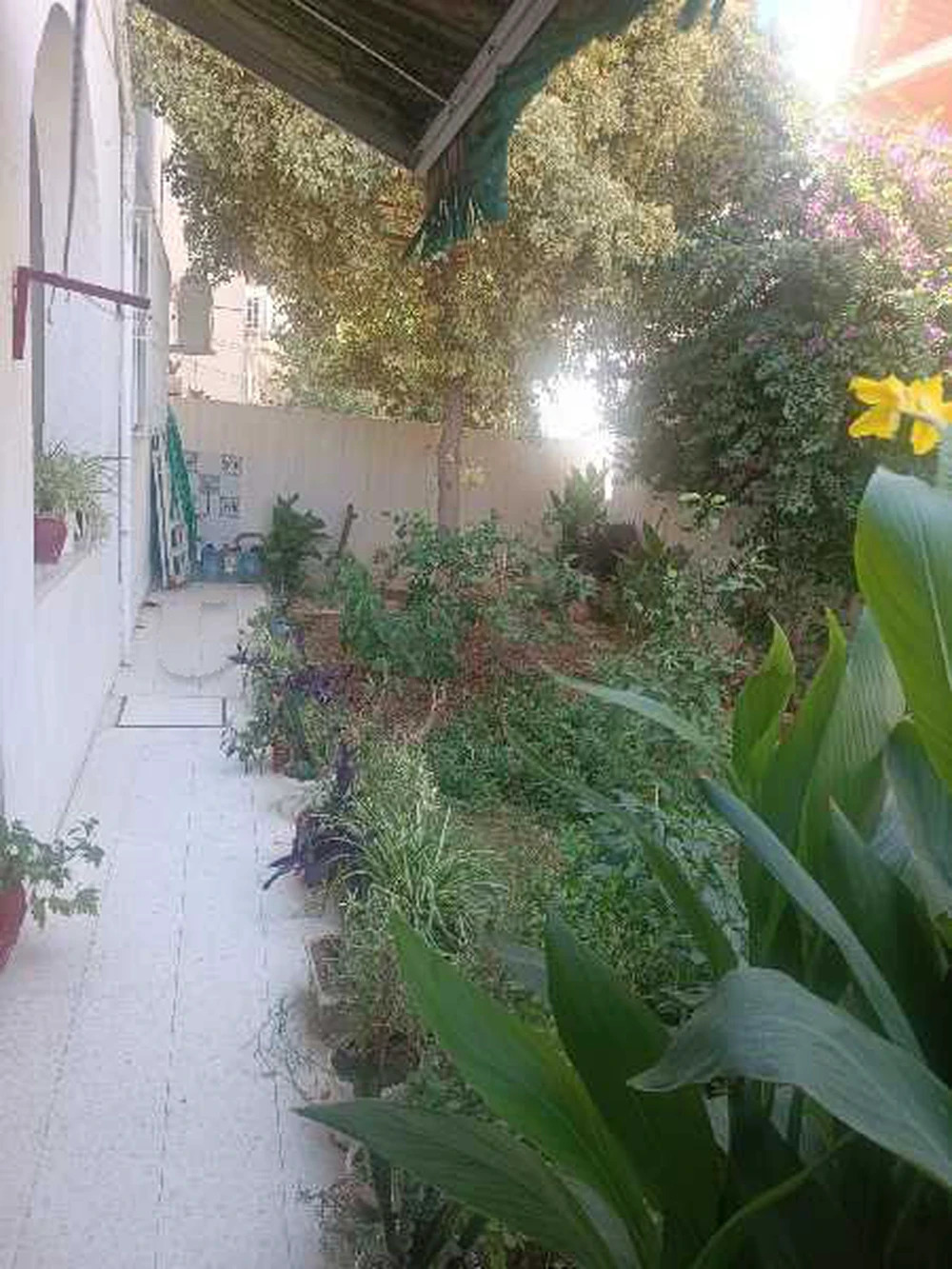 La Marsa&nbsp;El Aouina&nbsp;Location&nbsp;Appart. 4 pi�ces&nbsp;Un spacieux appartement s3 � laouina