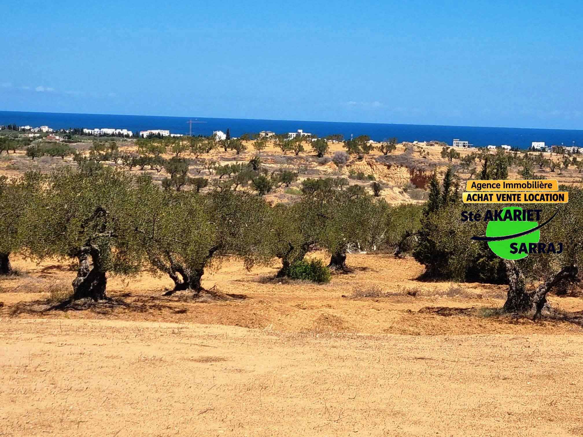 Akouda&nbsp;Chatt Meriem&nbsp;Terrain&nbsp;Terrain nu&nbsp;Reste un seul terrain vue de mer 640m � rmila