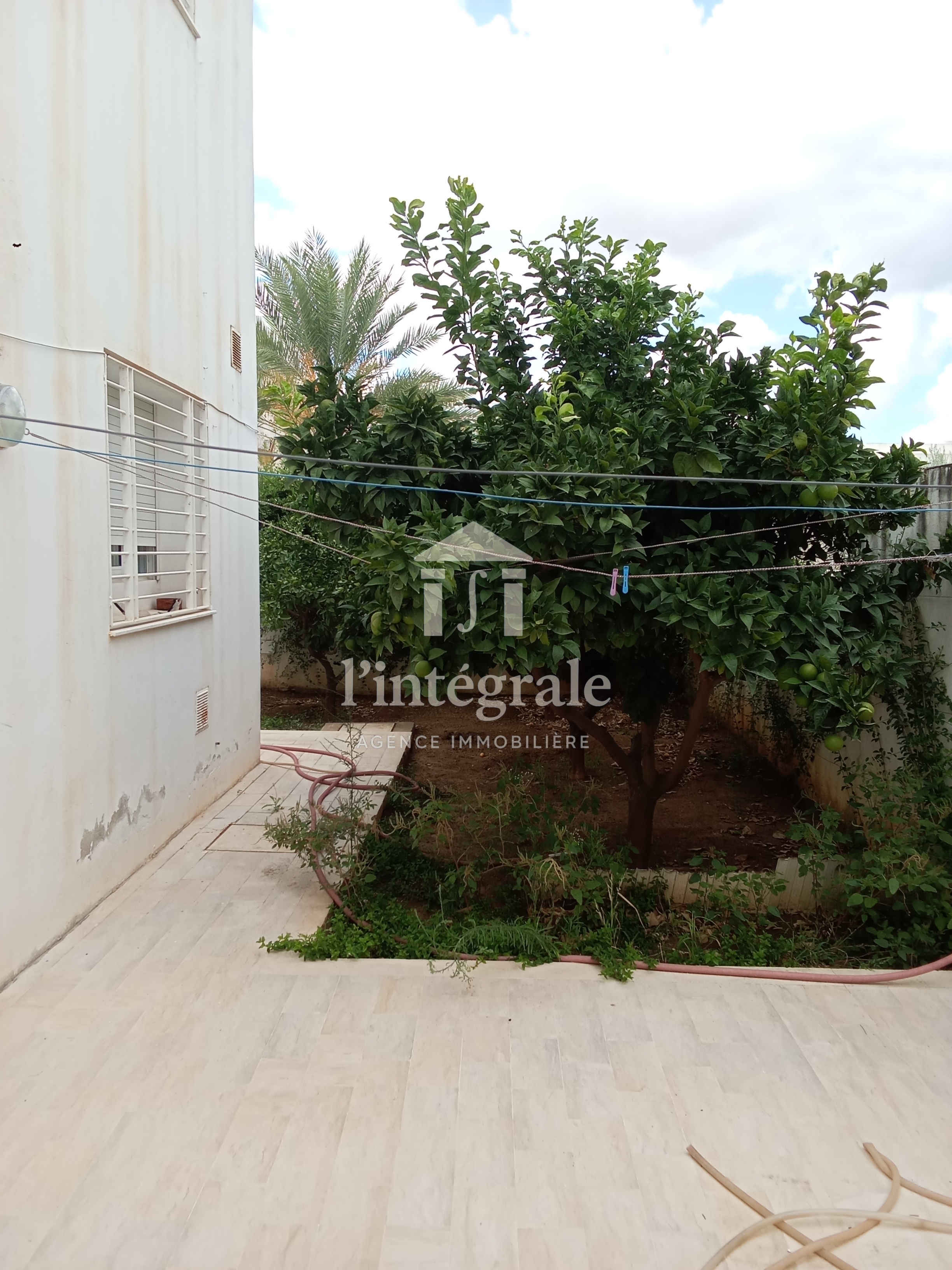 Ariana Ville&nbsp;Cite Ennasr 2&nbsp;Location&nbsp;Appart. 2 pi�ces&nbsp;S1 avec jardin