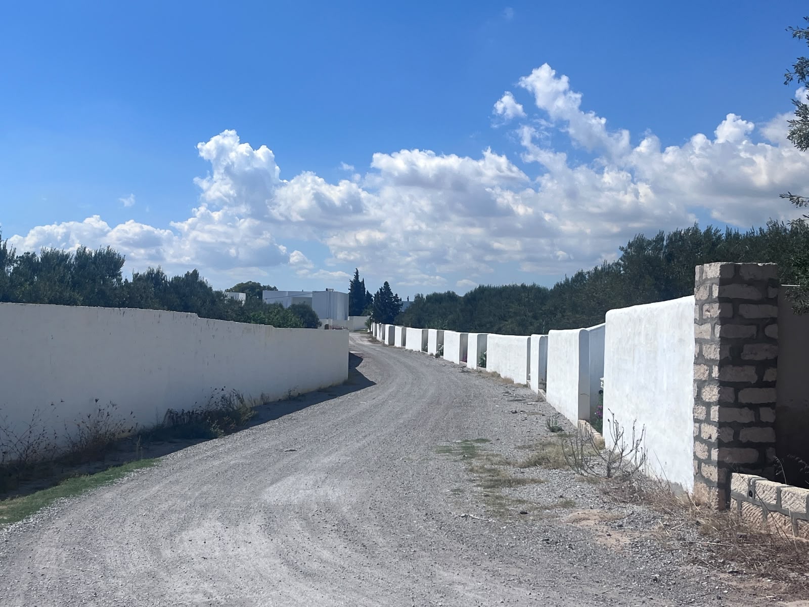 Hammamet&nbsp;Hammamet&nbsp;Terrain&nbsp;Terrain nu&nbsp;Opportunit� � ne pas rater
