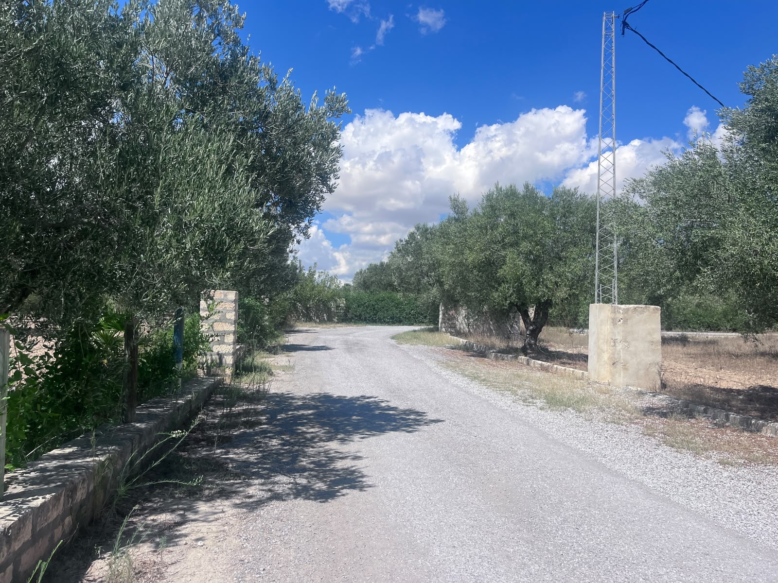Hammamet&nbsp;Hammamet&nbsp;Terrain&nbsp;Terrain nu&nbsp;Opportunit� � ne pas rater