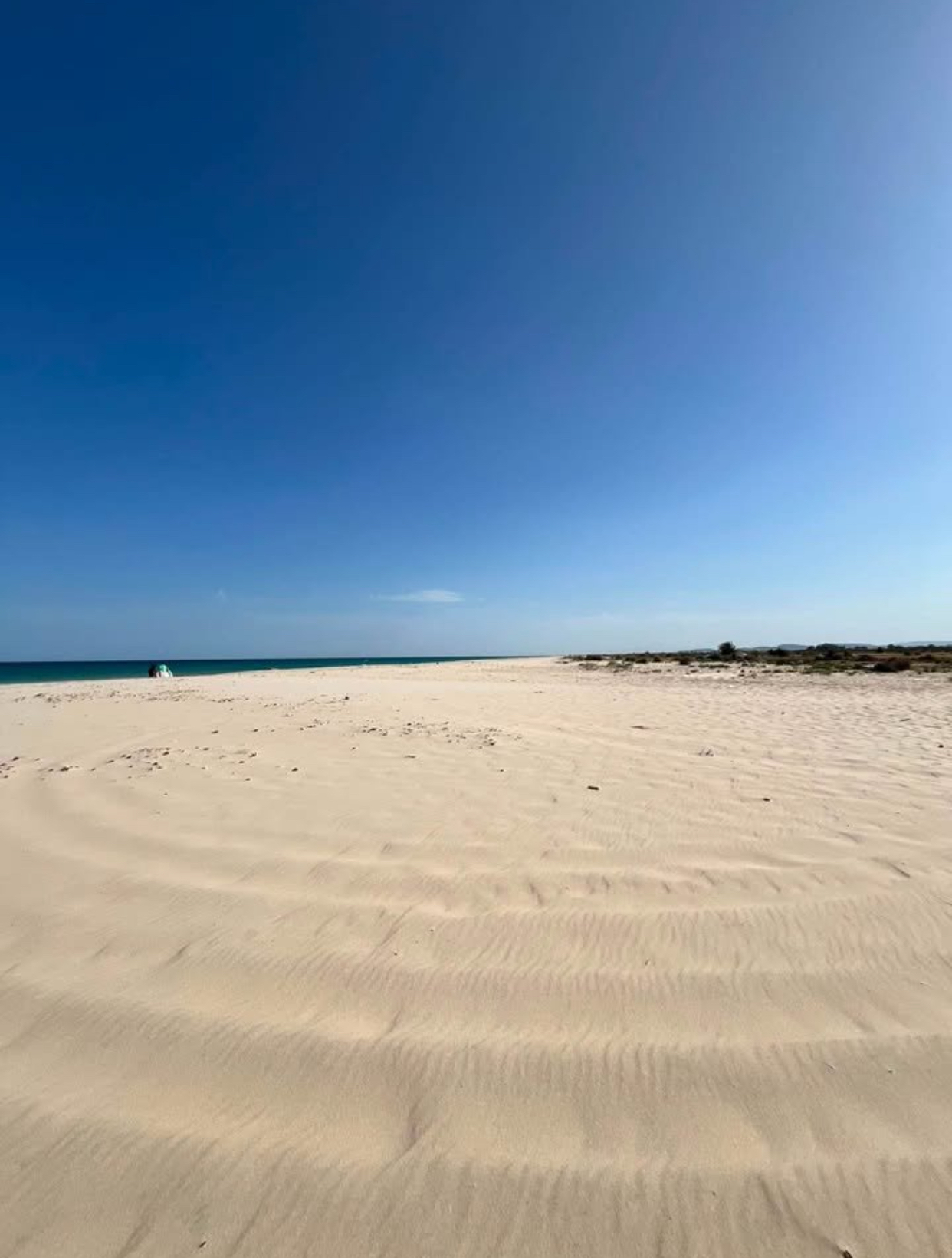 Hammamet&nbsp;Hammamet&nbsp;Terrain&nbsp;Terrain nu&nbsp;Terrain hammamet sud proche de la mer