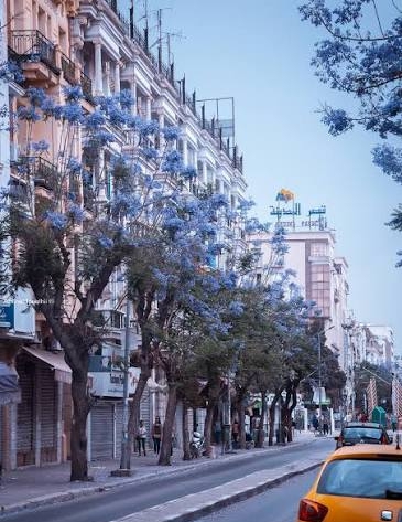 Bab Bhar&nbsp;Montplaisir&nbsp;Location&nbsp;Surfaces&nbsp;Local commercial sur avenue de la libert�