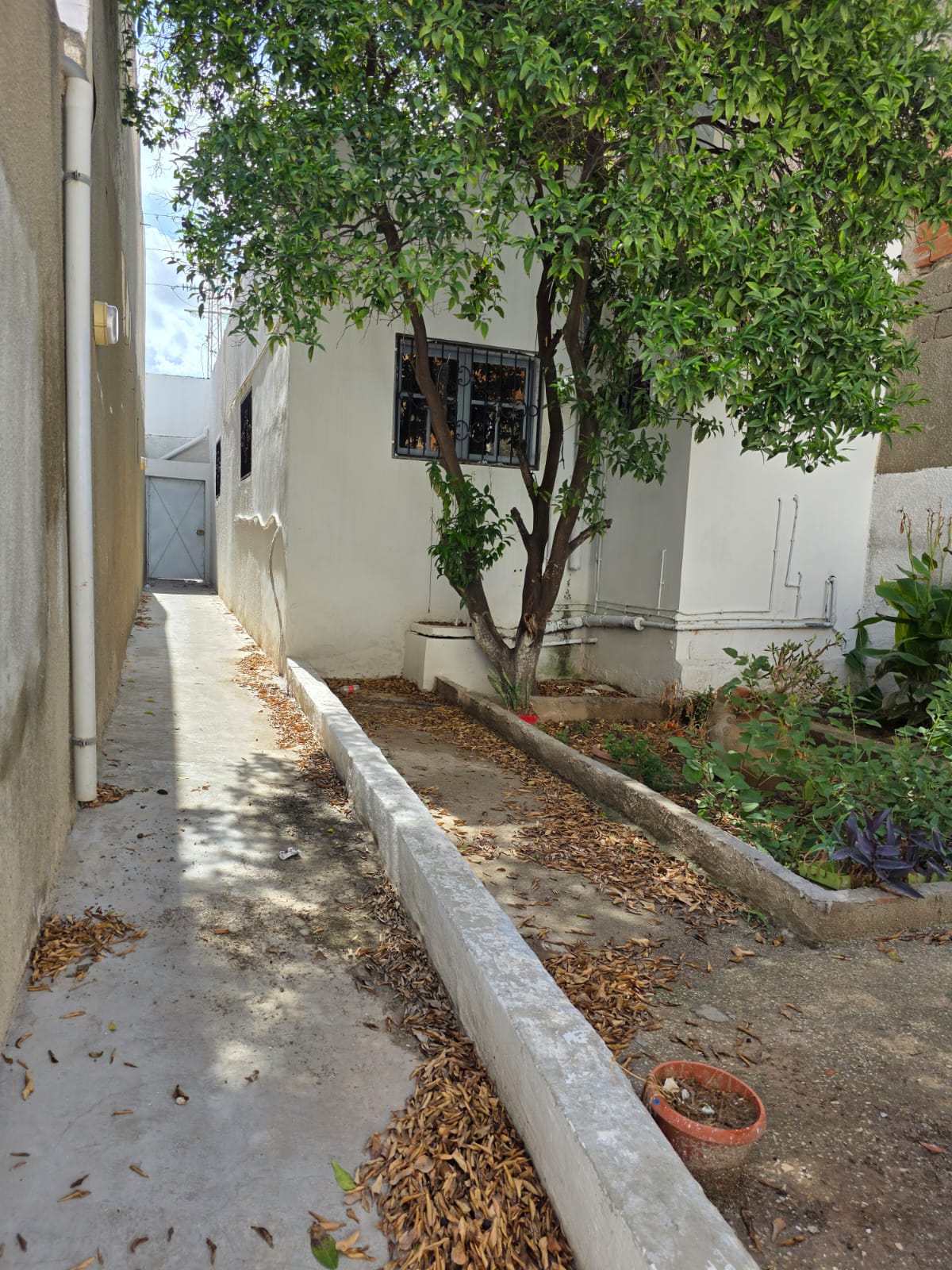 La Soukra&nbsp;Dar Fadhal&nbsp;Location&nbsp;Maisons&nbsp;Titre foncier individue maison et local comercial