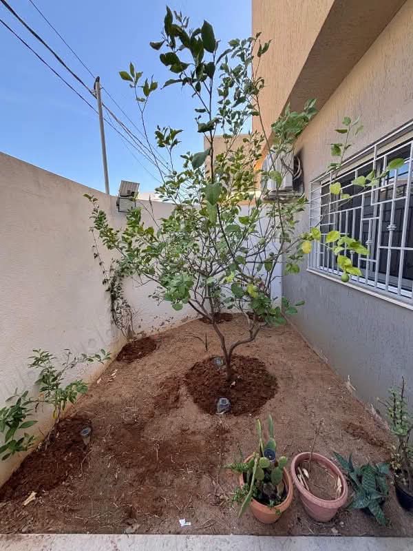 Raoued&nbsp;Ariana Essoughra&nbsp;Vente&nbsp;Maisons&nbsp;Villa ariana essoughra 540md