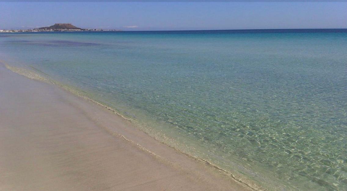 Kelibia&nbsp;Kelibia Charguia&nbsp;Terrain&nbsp;Terrain nu&nbsp;Terrain rare pieds dans l'eau