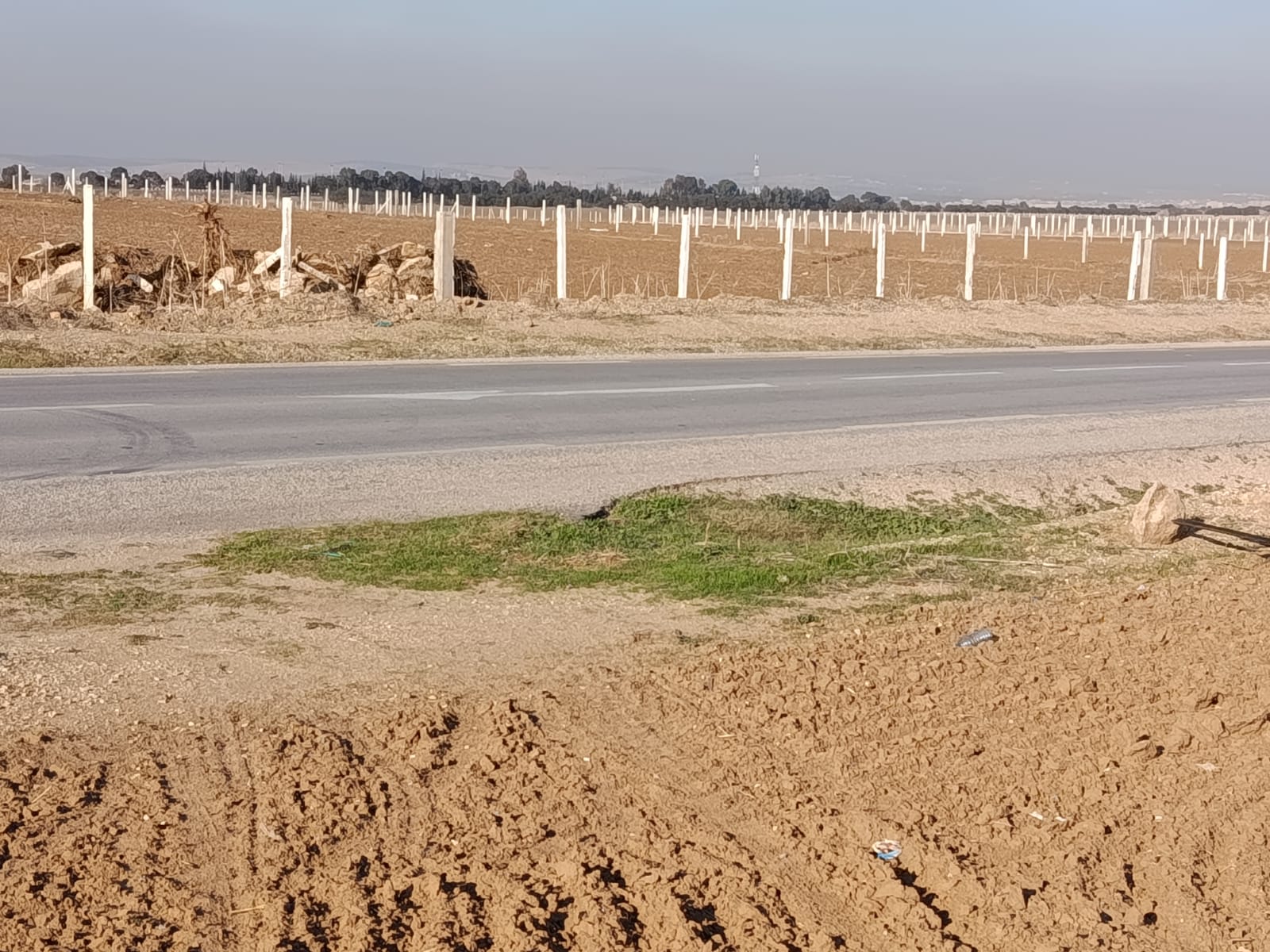 Mornaguia&nbsp;El Fejja&nbsp;Terrain&nbsp;Terrain nu&nbsp;Terrain � el fejja � 2 min du n�opark et afh