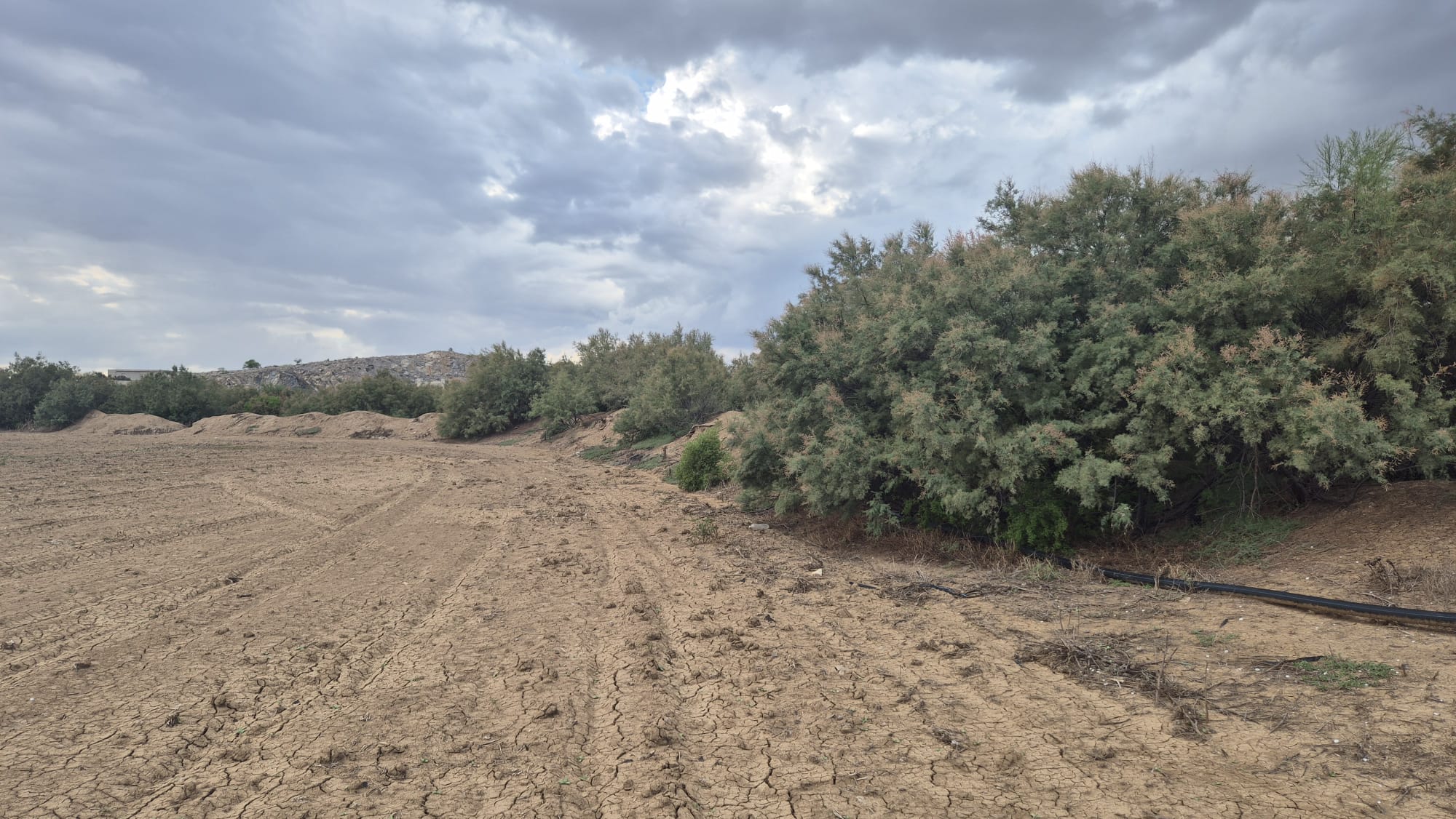 Mejez El Bab&nbsp;Mejez El Bab&nbsp;Terrain&nbsp;Terrain agricole&nbsp;Terrain agricole medjez el bab