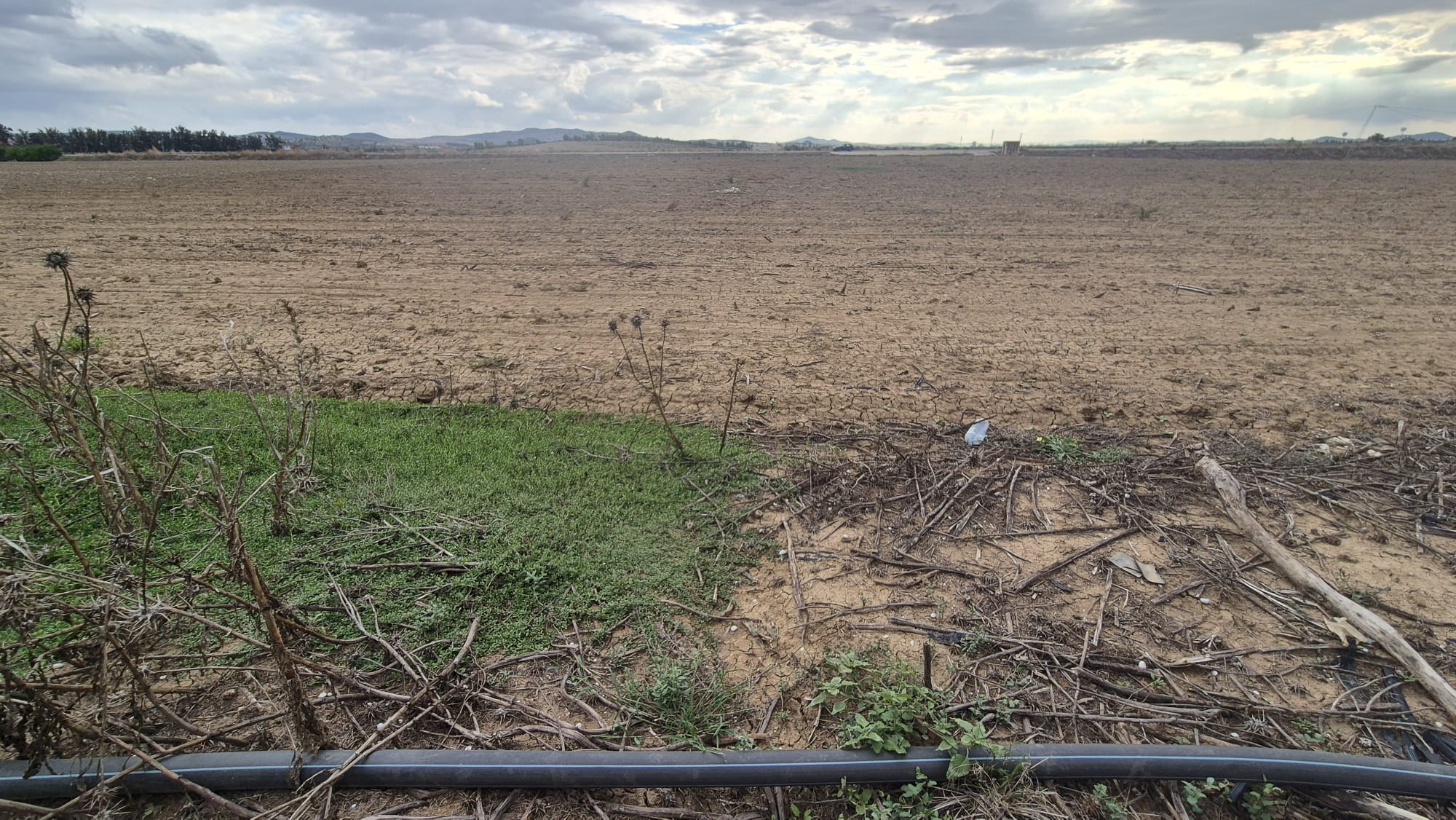 Mejez El Bab&nbsp;Mejez El Bab&nbsp;Terrain&nbsp;Terrain agricole&nbsp;Terrain agricole medjez el bab