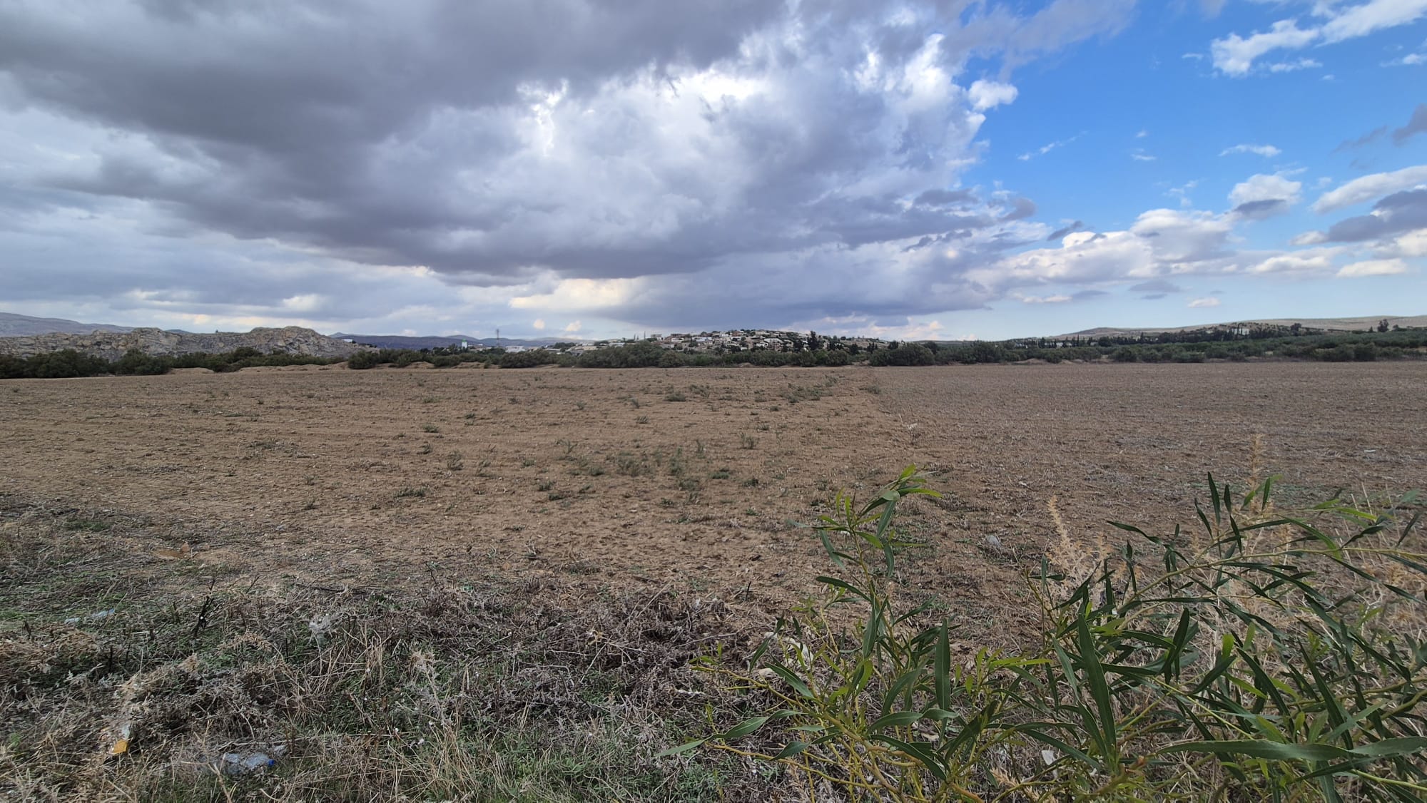 Mejez El Bab&nbsp;Mejez El Bab&nbsp;Terrain&nbsp;Terrain agricole&nbsp;Terrain agricole medjez el bab
