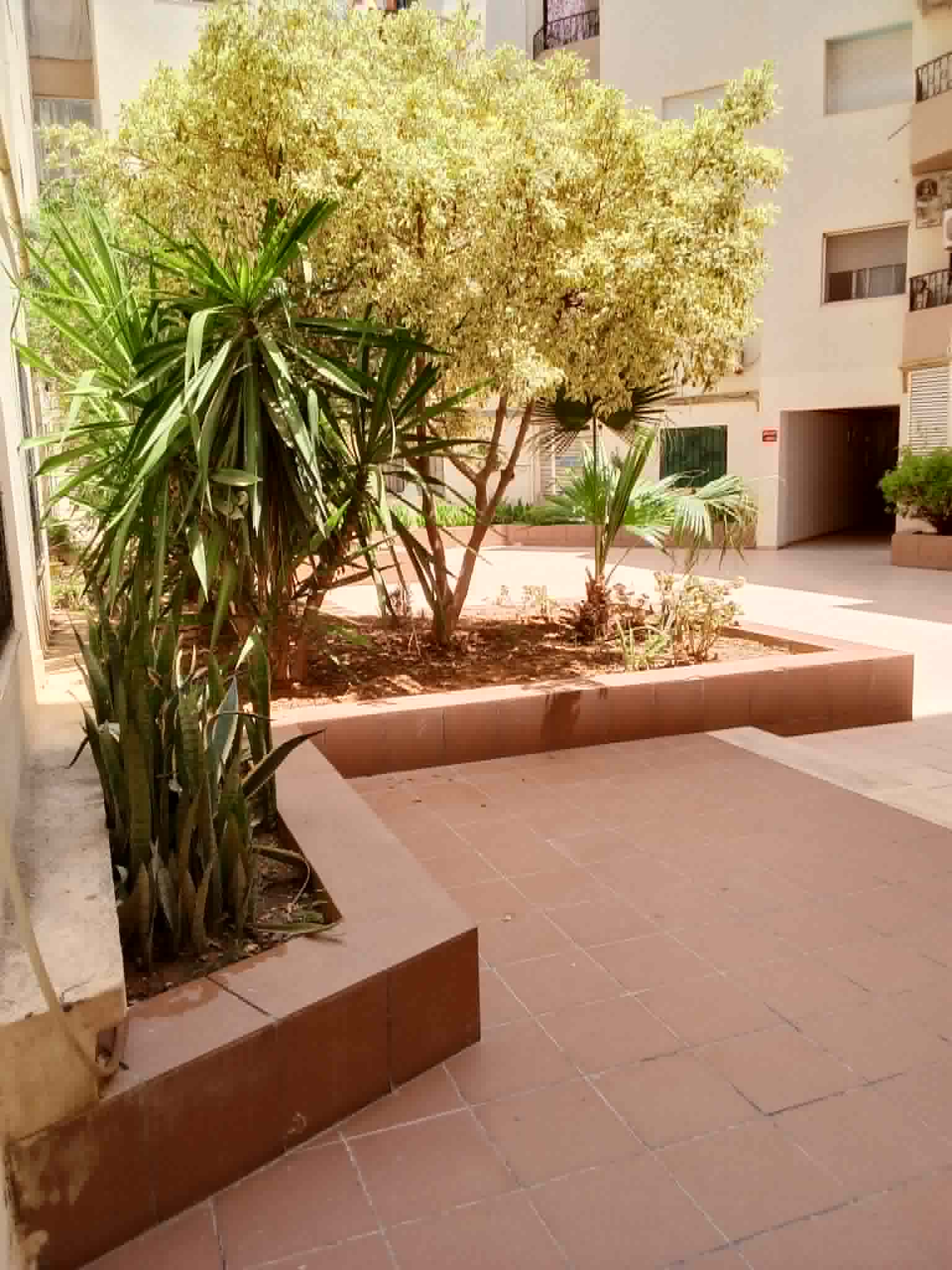 Carthage&nbsp;Cite Mohamed Ali&nbsp;Vente&nbsp;Appart. 4 pi�ces&nbsp;Appartement de 4 pi�ces