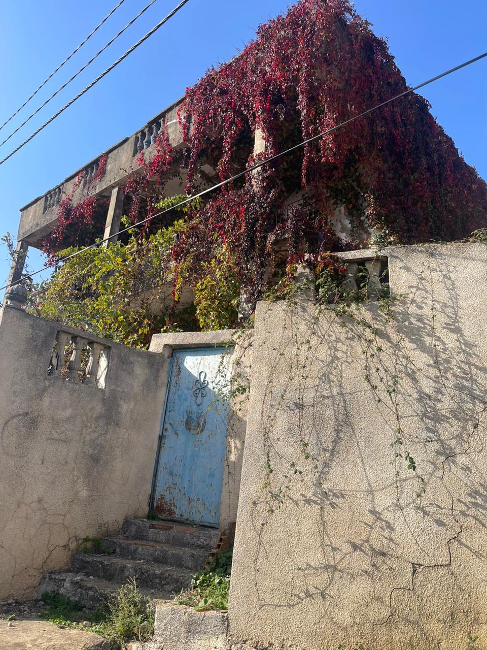 Ain Draham&nbsp;Ain Draham&nbsp;Vente&nbsp;Maisons&nbsp;Vieille maison � ain draham