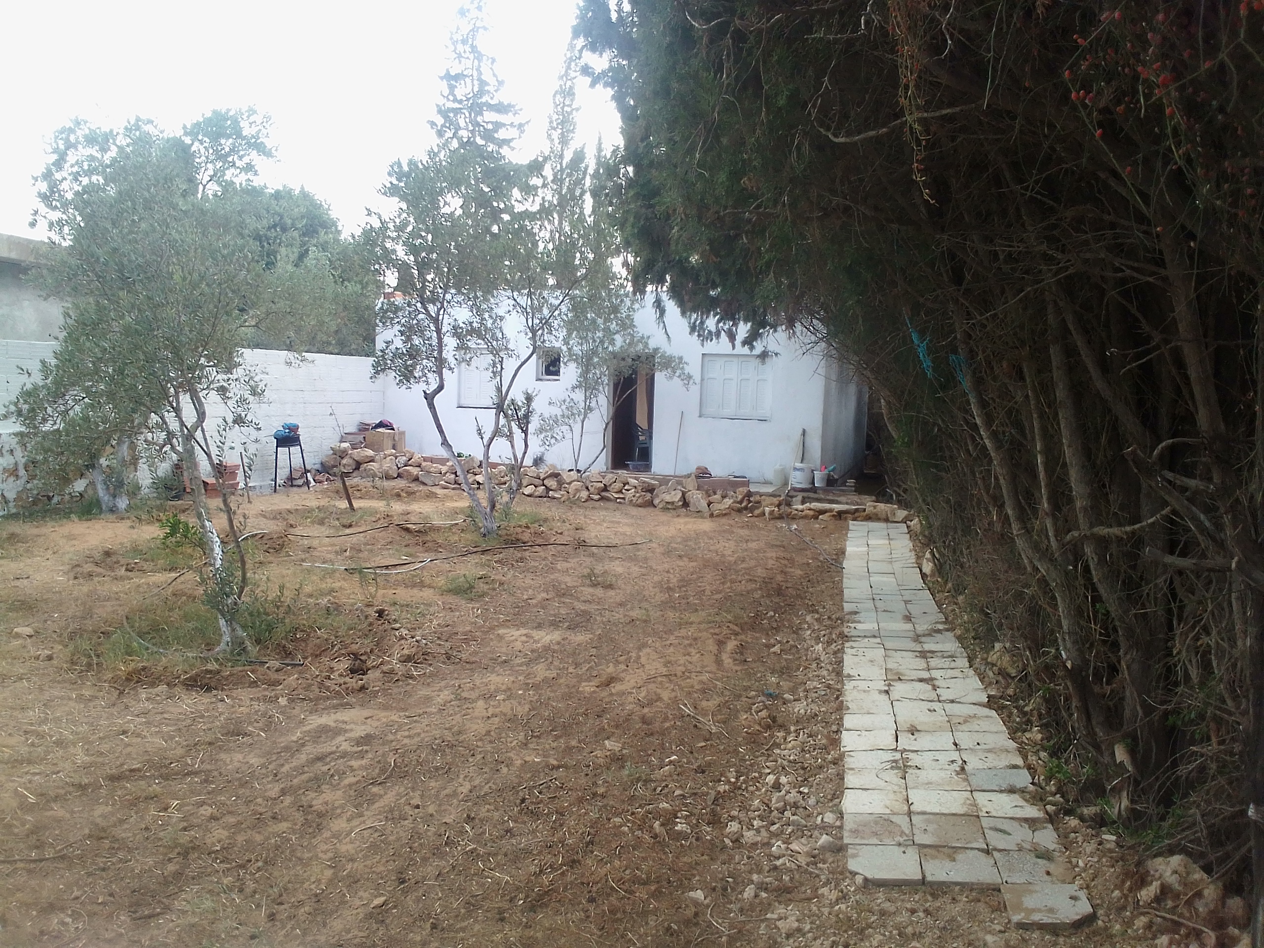 Ras Jebel&nbsp;Cite Kaa El Ballout&nbsp;Vente&nbsp;Maisons&nbsp;Terrain  maison rasjbal