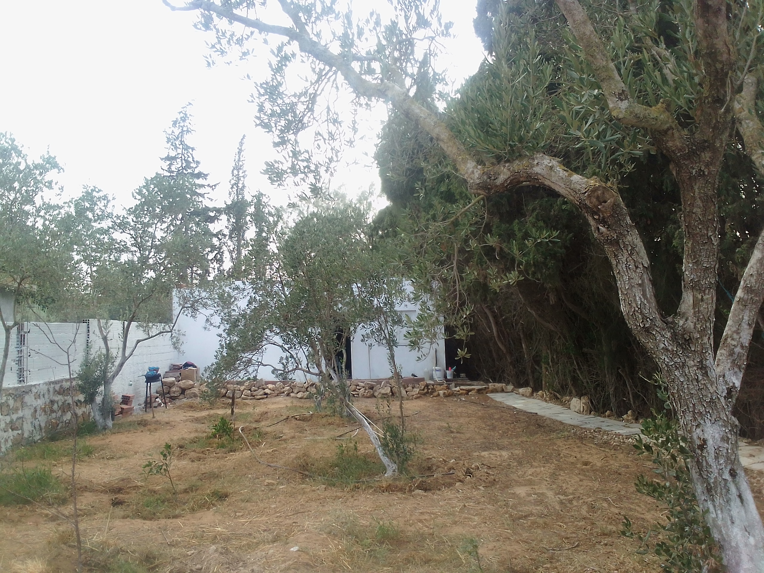 Ras Jebel&nbsp;Ras Jebel&nbsp;Vente&nbsp;Maisons&nbsp;Terrain et maison � rasjbal sans interm�diaire