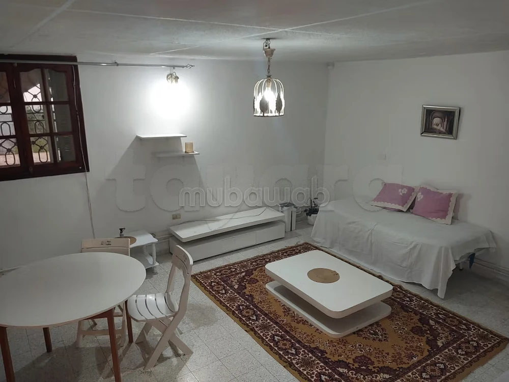El Menzah&nbsp;El Menzah 9&nbsp;Location&nbsp;Appart. 1 pi�ce&nbsp;Superb s1 meubl� � menzah 9