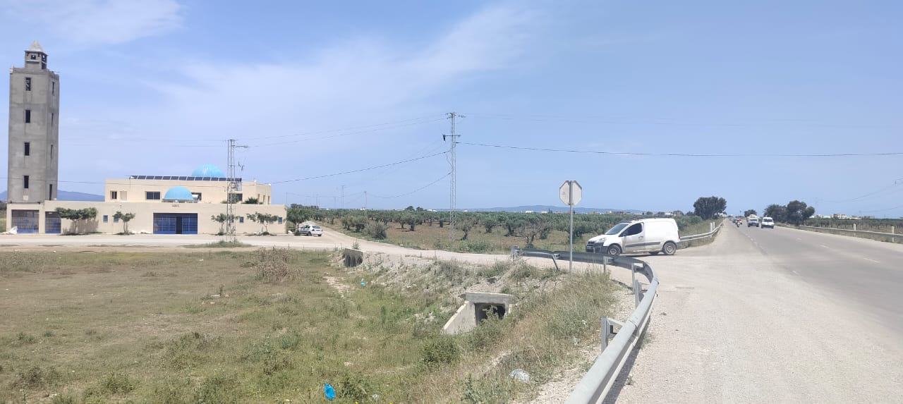 Hammamet&nbsp;Hammamet&nbsp;Terrain&nbsp;Terrain nu&nbsp;Beau terrain pas loin de route gp1