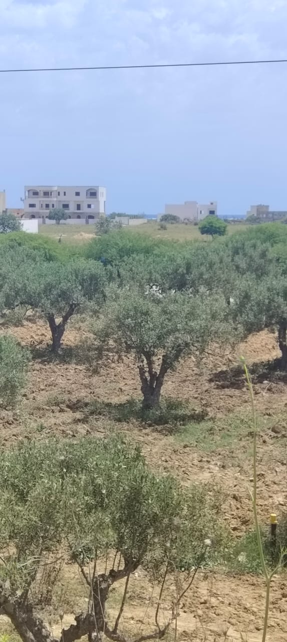 Hammamet&nbsp;Hammamet&nbsp;Terrain&nbsp;Terrain nu&nbsp;Terrain pr�s de route  principale cote mer
