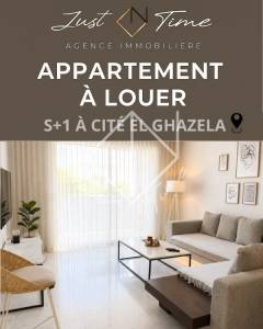Raoued&nbsp;Raoued&nbsp;Location&nbsp;Appart. 1 pi�ce&nbsp;Appartement s1    cit el ref371a