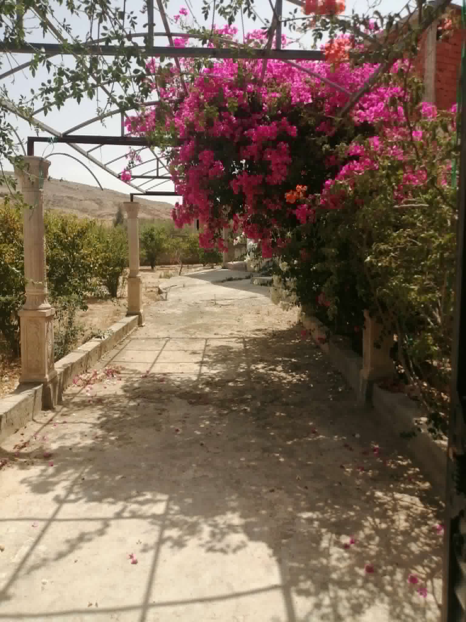 Mornaguia&nbsp;El Hamayem&nbsp;Terrain&nbsp;Terrain nu&nbsp;Rdc plus �tage 800mc