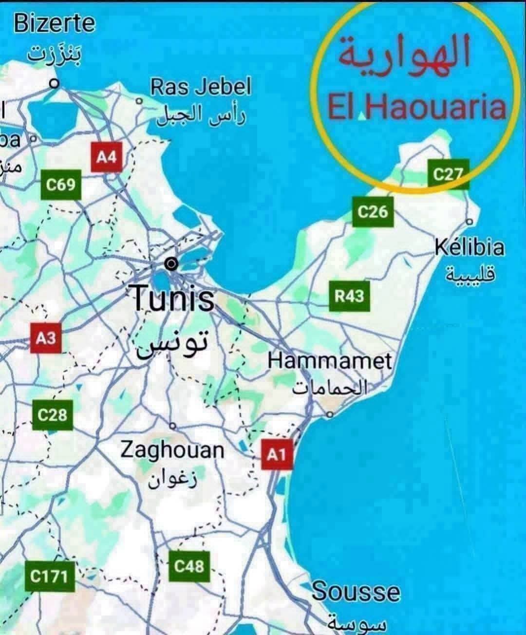 El Haouaria&nbsp;Cite Touristique&nbsp;Terrain&nbsp;Terrain nu&nbsp;Terrain de 300m2 a la plage
