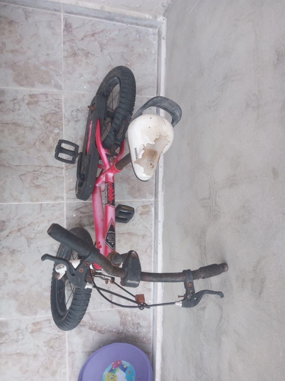 Le Bardo&nbsp;Le Bardo&nbsp;Autre&nbsp;Autre&nbsp;Bicyclette enfant au bardo