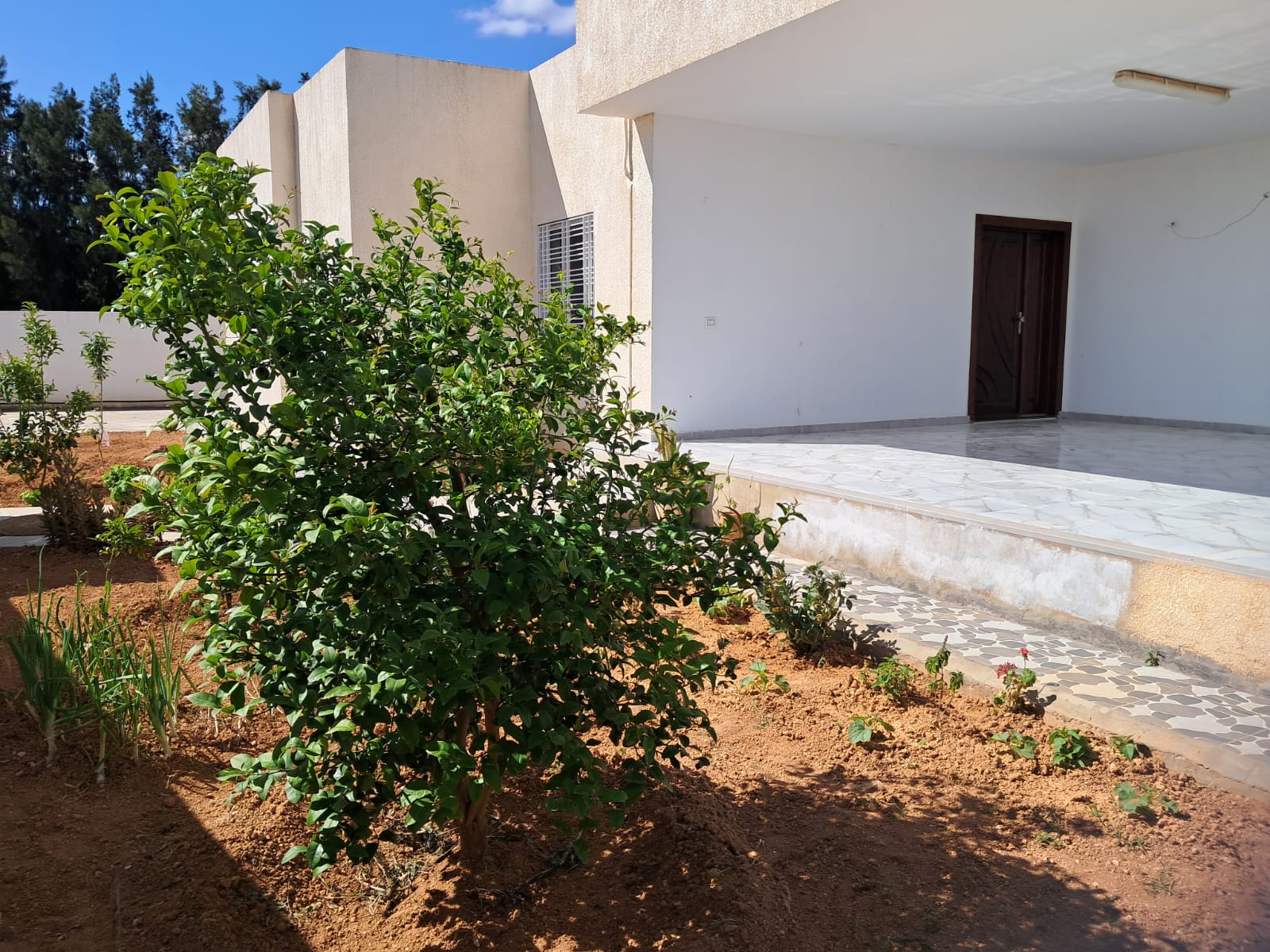 Sidi Thabet&nbsp;Borj Youssef&nbsp;Vente&nbsp;Maisons&nbsp;Superbe villa
