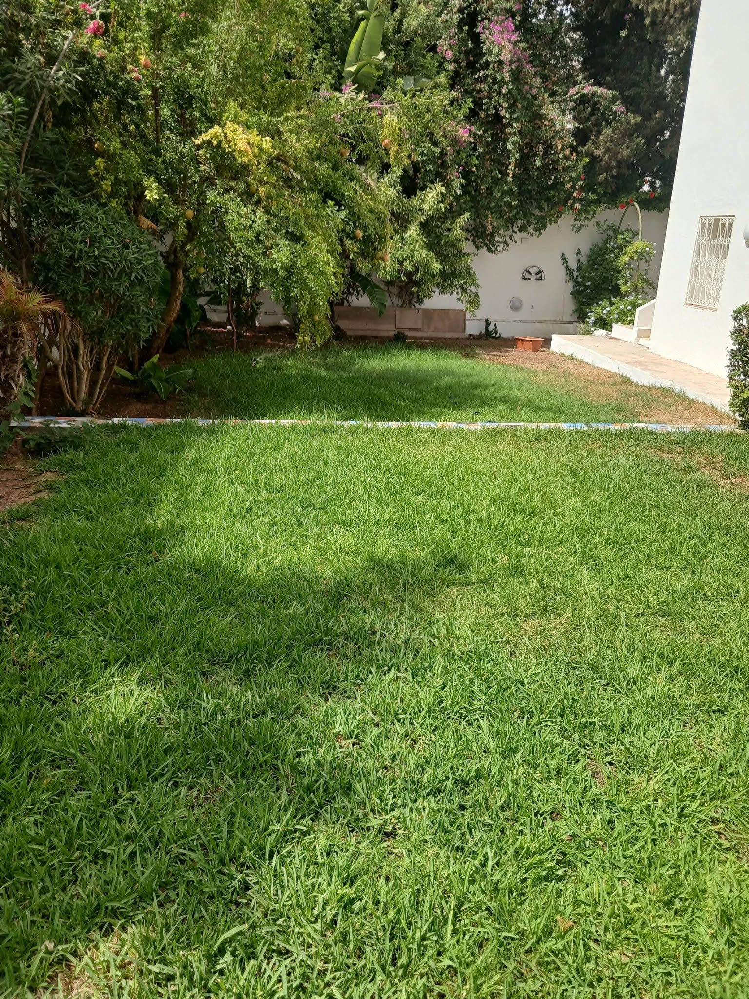 La Marsa&nbsp;Gammart&nbsp;Location&nbsp;Maisons&nbsp;Une villa de charme � gammarth sup�rieur