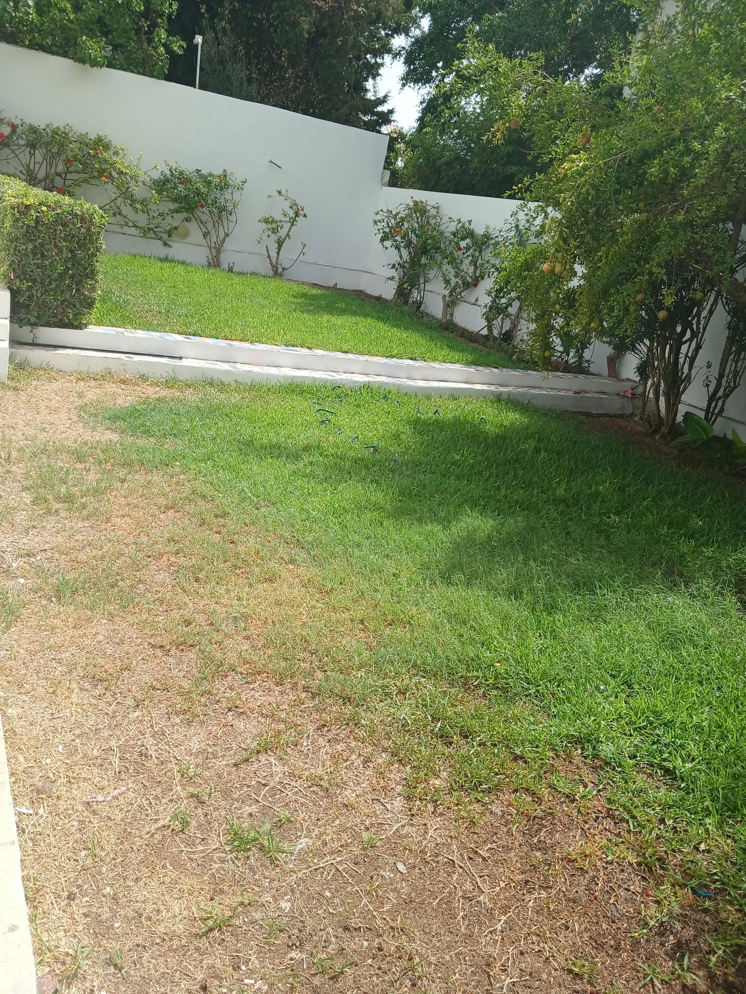 La Marsa&nbsp;Gammart&nbsp;Location&nbsp;Maisons&nbsp;Une villa de charme � gammarth sup�rieur