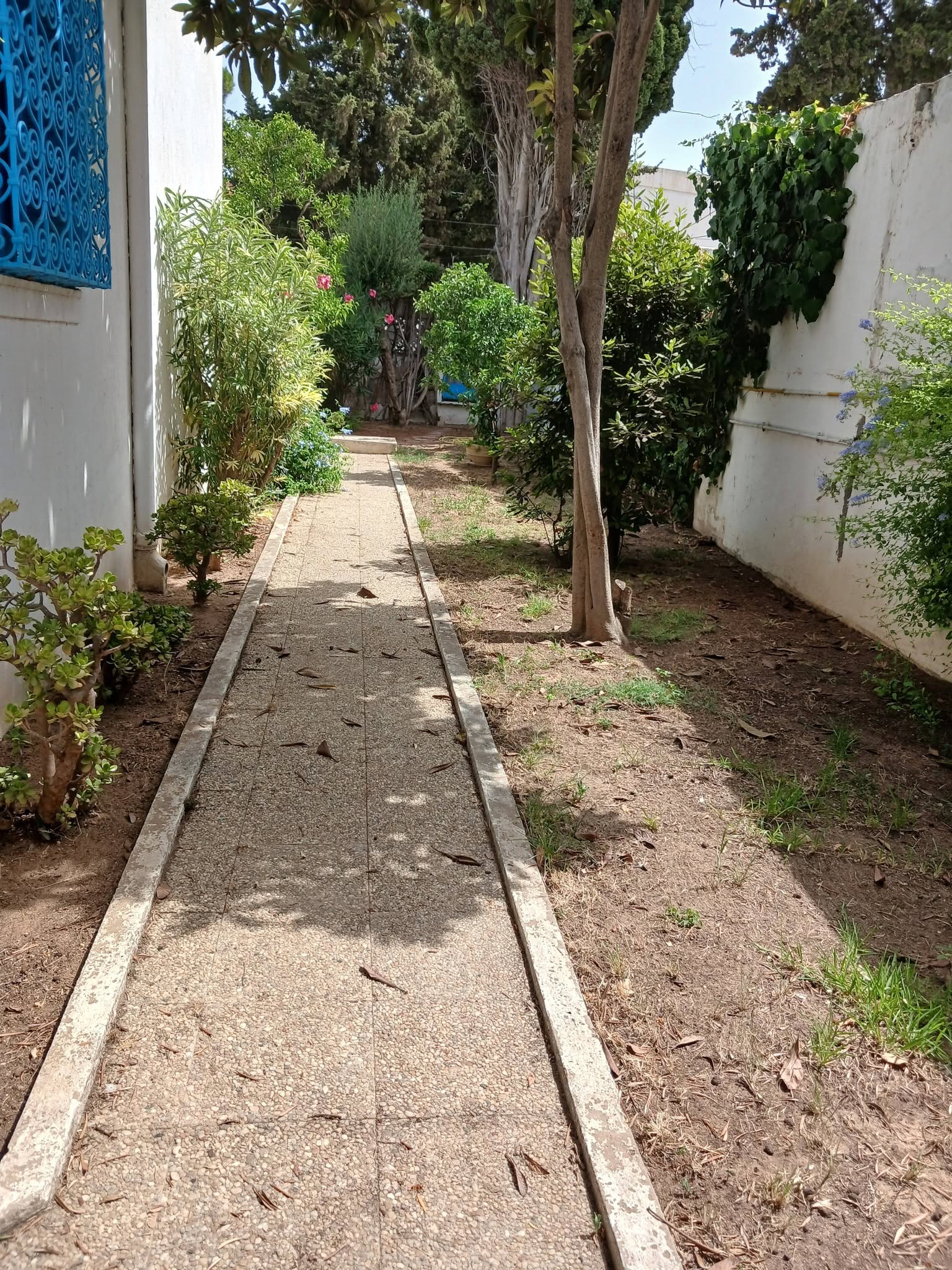 La Marsa&nbsp;Marsa Safsaf&nbsp;Location&nbsp;Maisons&nbsp;Maison � marsa cube meubl�e
