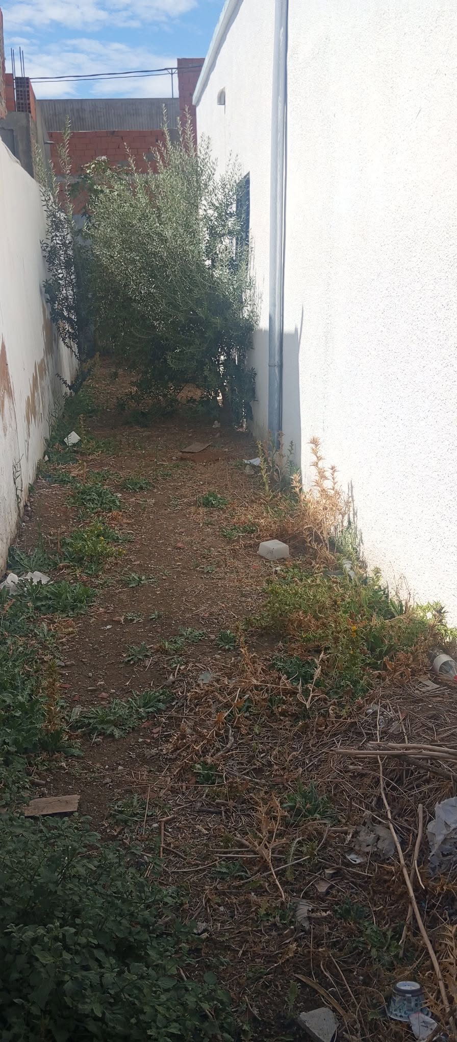 Hammam Chatt&nbsp;Borj Cedria&nbsp;Vente&nbsp;Maisons&nbsp;Villa avec jardin