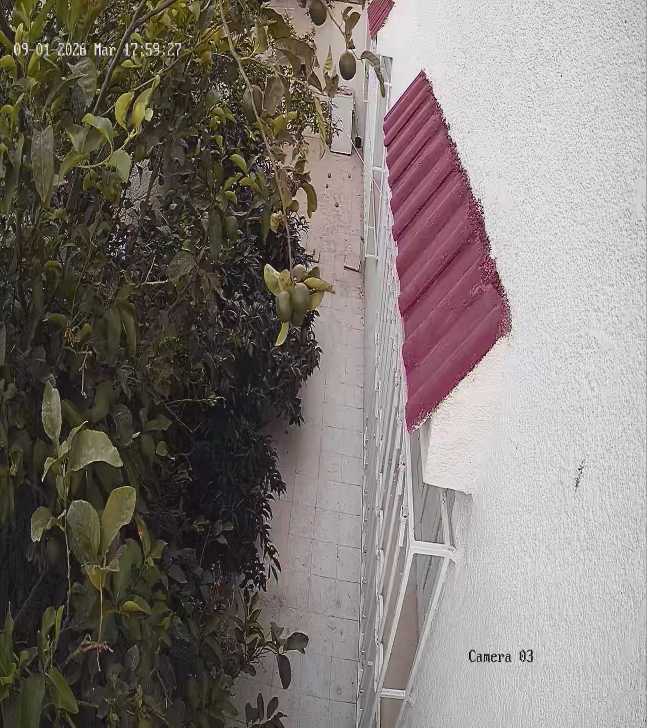 Mnihla&nbsp;Mnihla&nbsp;Vente&nbsp;Maisons&nbsp;Mnihla maison a ne pas rater