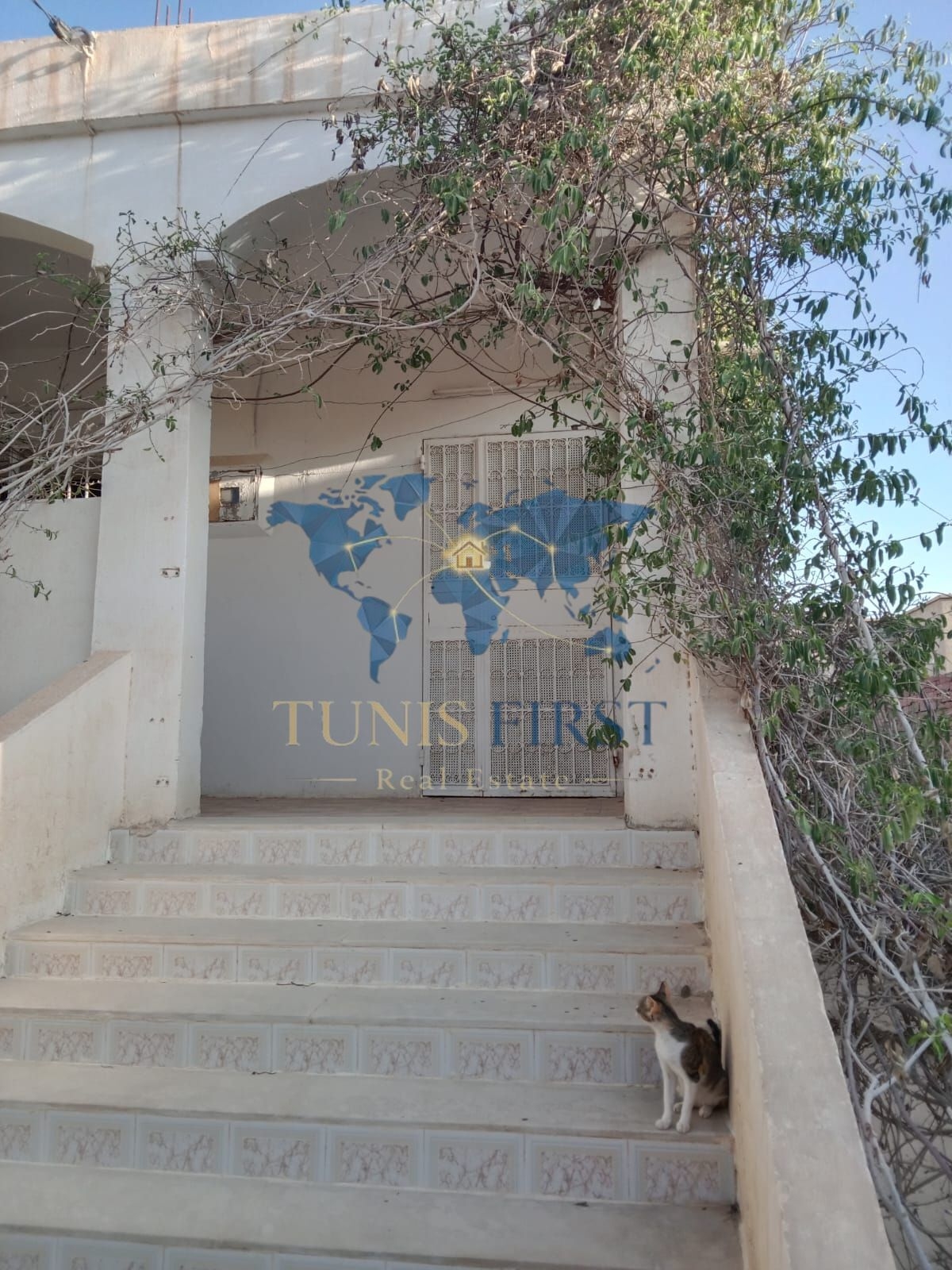 Tozeur&nbsp;Tozeur&nbsp;Vente&nbsp;Maisons&nbsp;Villa � tozeur