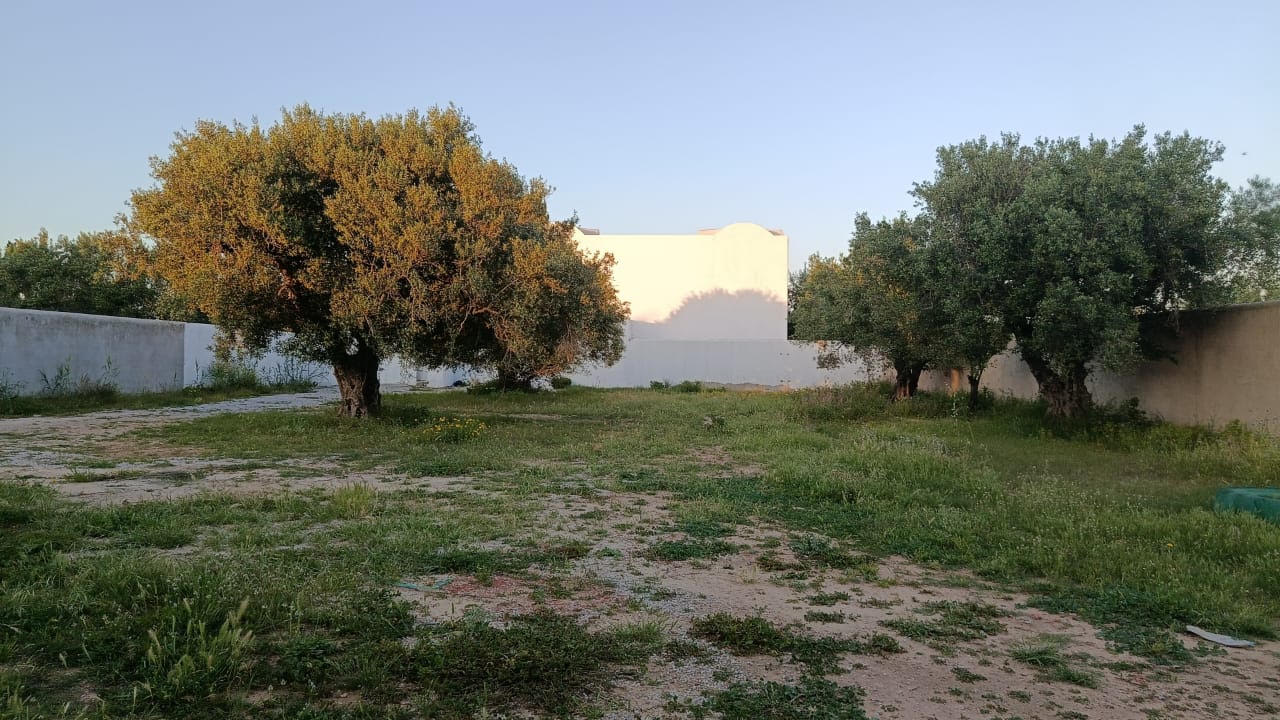 Hammamet&nbsp;Cite Chraf&nbsp;Terrain&nbsp;Terrain nu&nbsp;Terrain a hammamet quartier echraf 710 m2