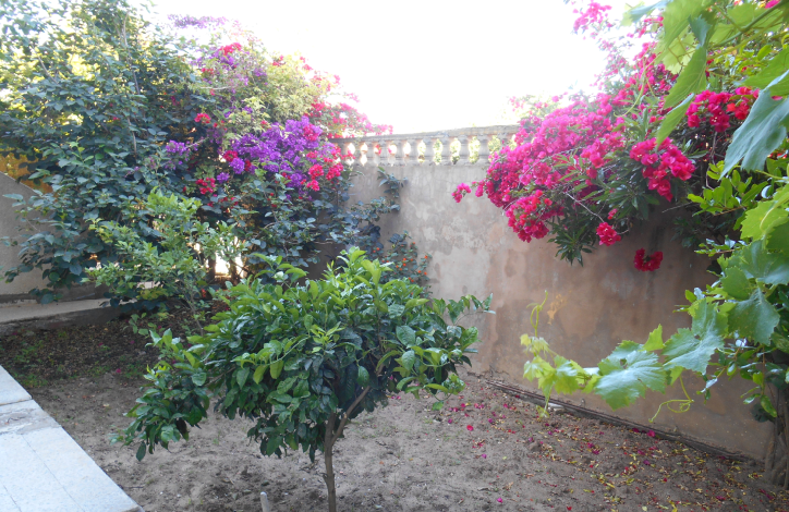 Tabarka&nbsp;Cite El Mourjene&nbsp;Vente&nbsp;Maisons&nbsp;Maison avec jardin