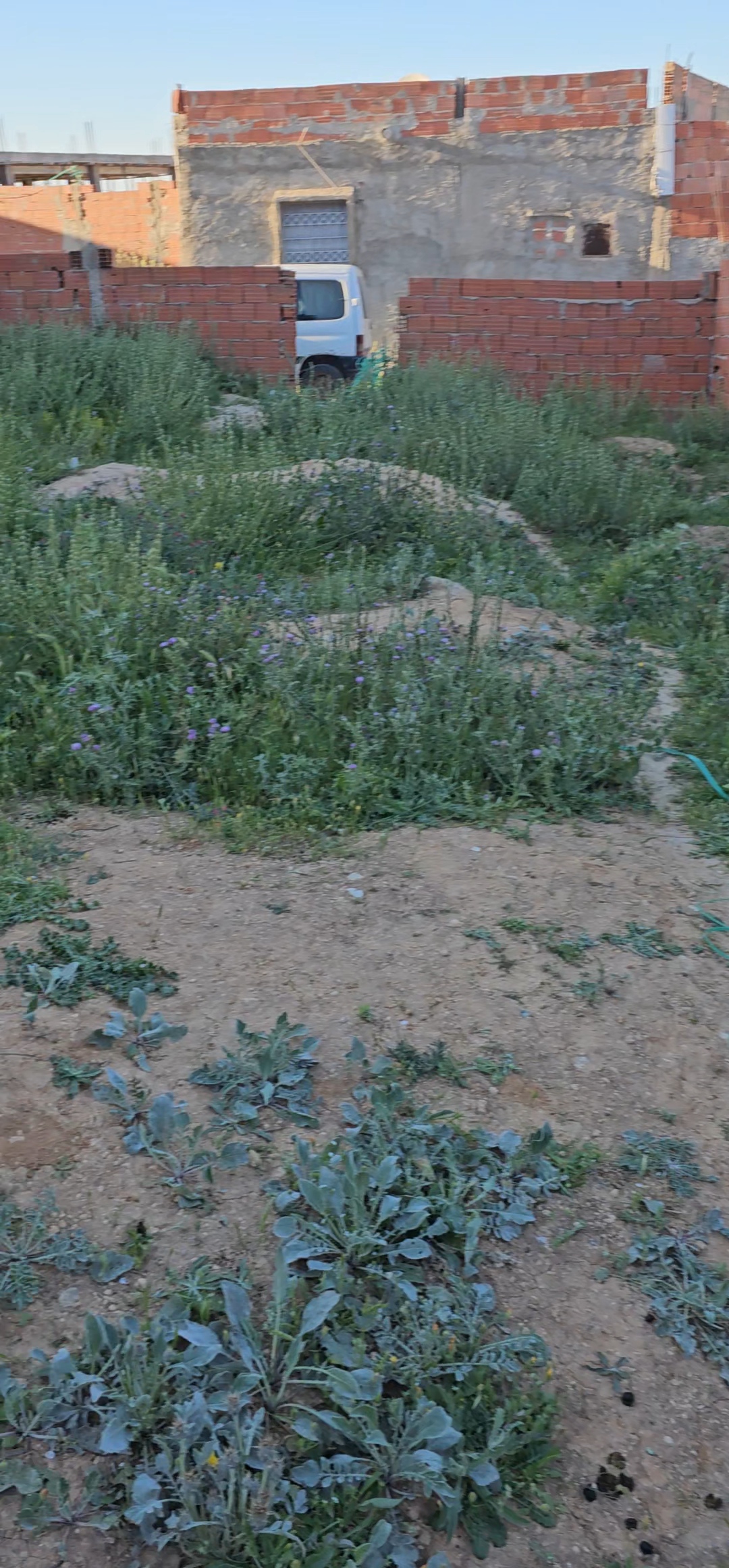Mohamadia&nbsp;Cite Tnich&nbsp;Terrain&nbsp;Terrain nu&nbsp;Terrain � mohamadia de 200m